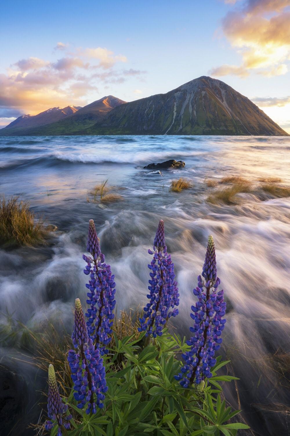 Summer time in New Zealand. (OC) {1500x1000} williampatino_photography