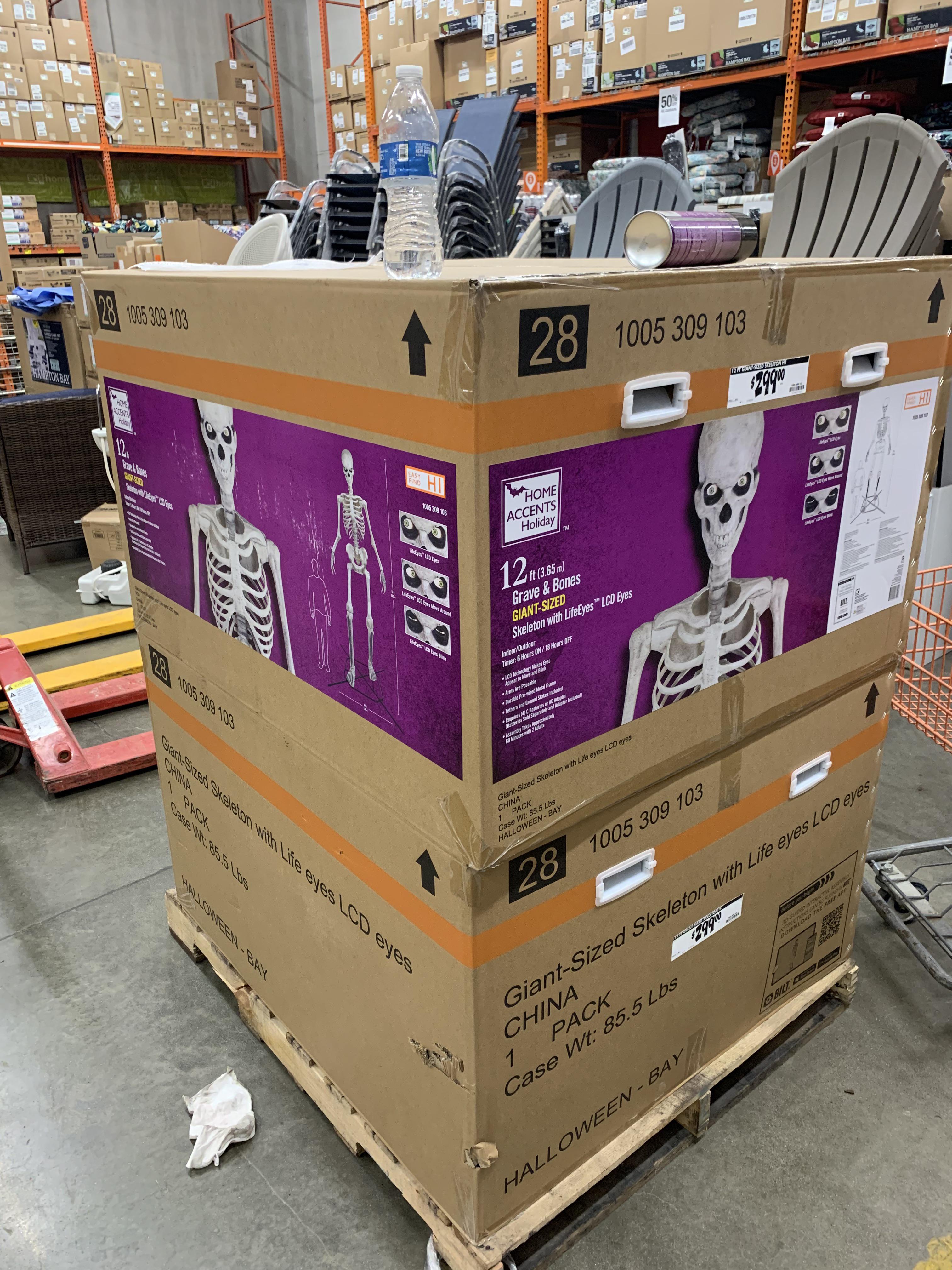 Clifton NJ Home Depot Has 2 in the back garden area. r/halloween