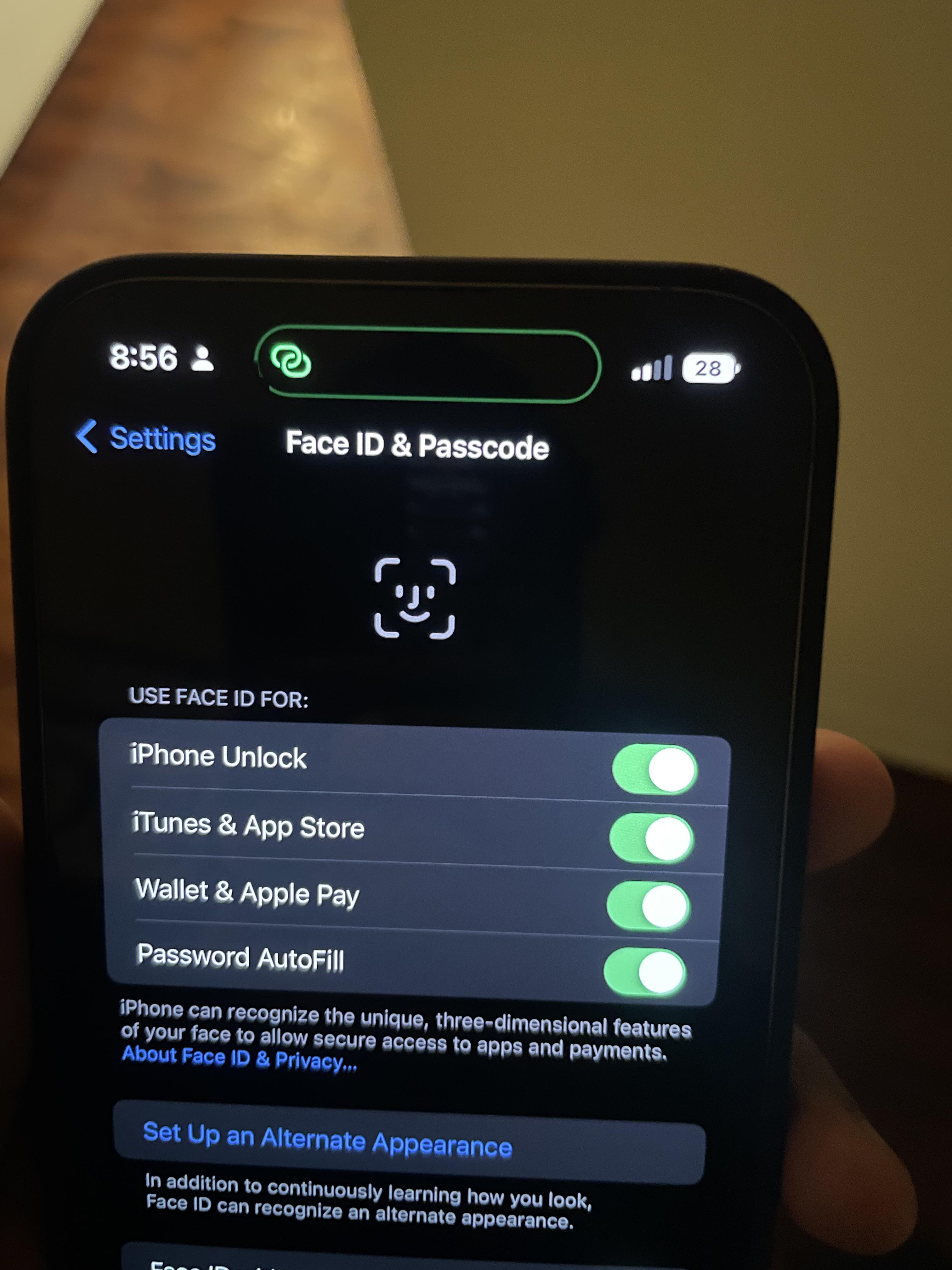 I really like the subtle green outline on the … sigh dynamic island