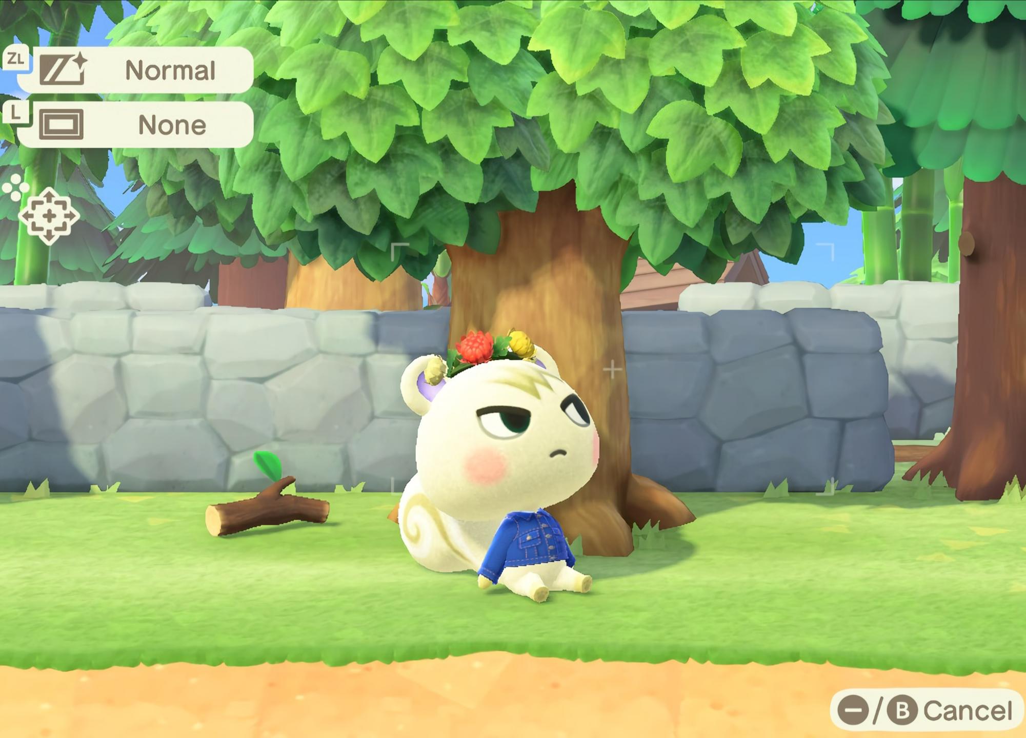 PSA give your cute villagers flower crowns r/AnimalCrossing