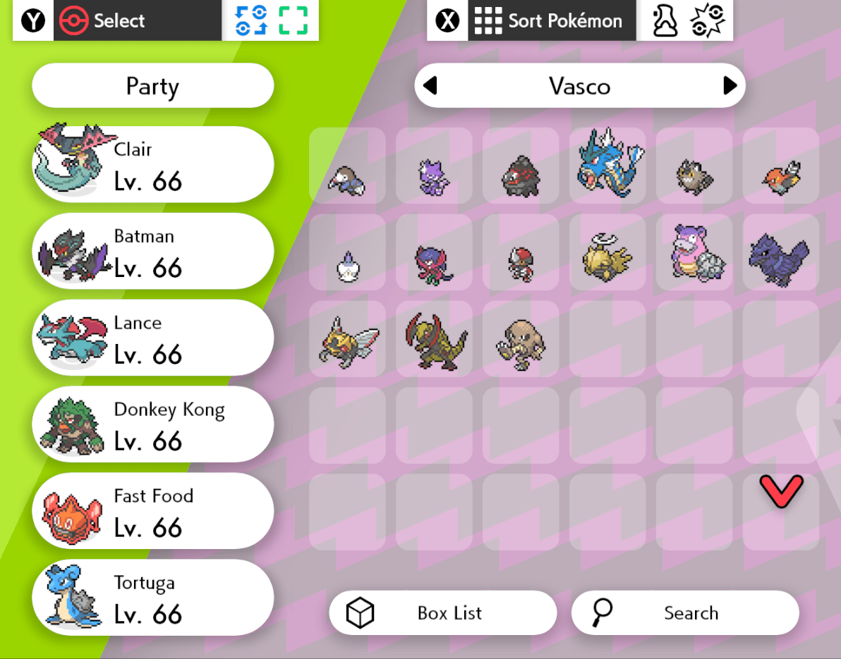 Finished Pokemon Sword Nuzlocke (champion team and dead mons) r/nuzlocke