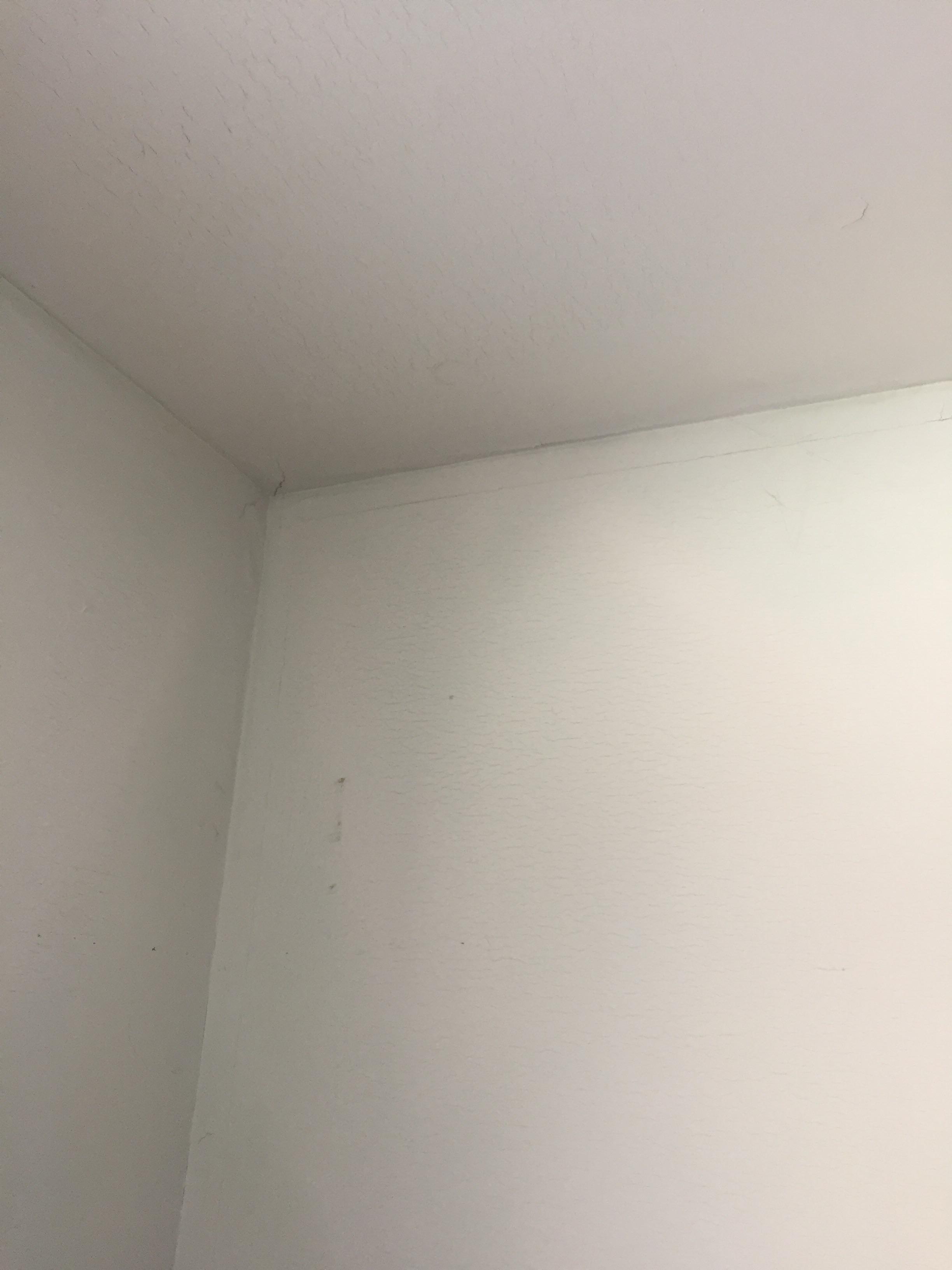 Wainscoting bathroom walls and ceiling to cover cracking Sheetrock? r