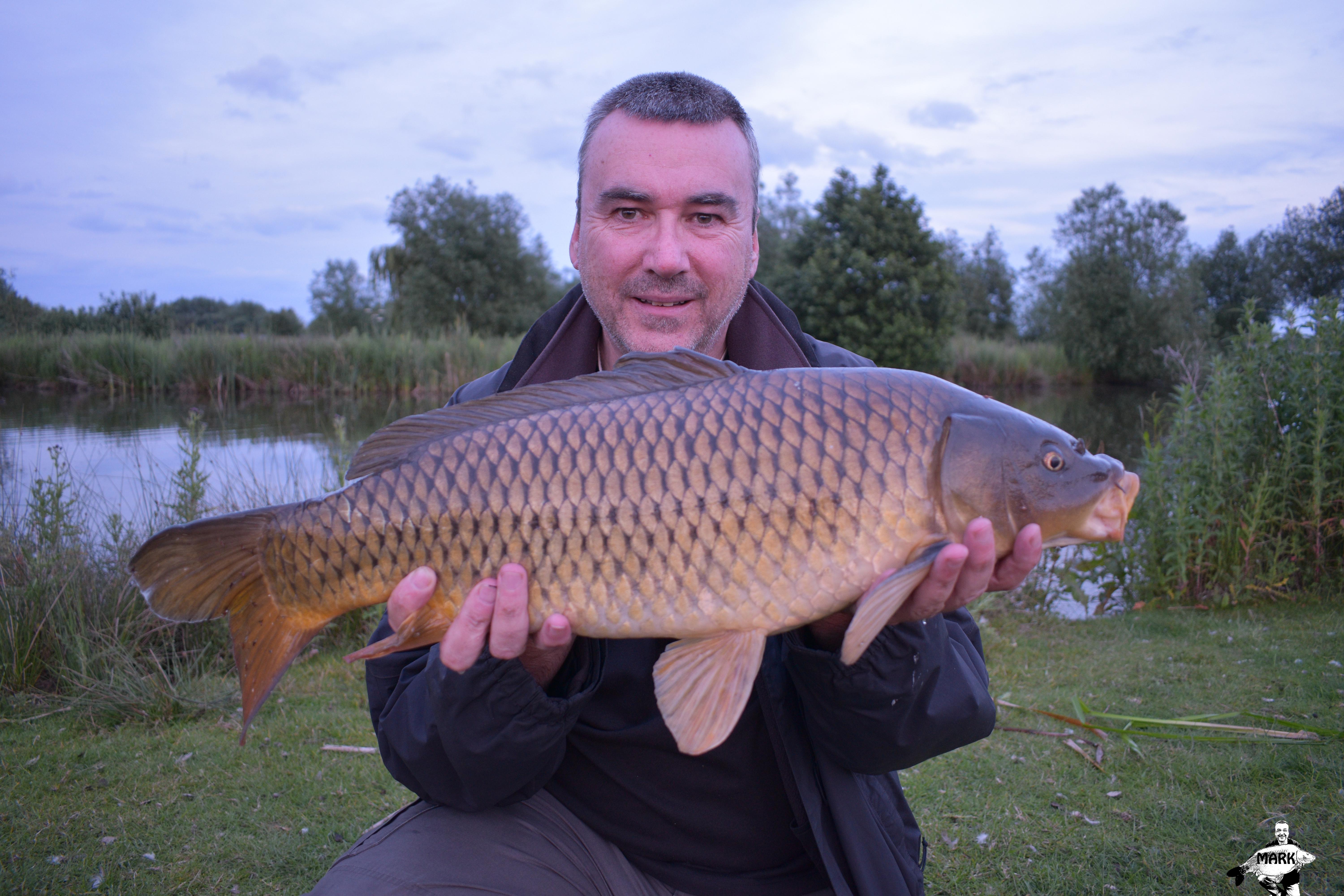 Another low double common carp off the top whilst surface fishing👍🎣😎