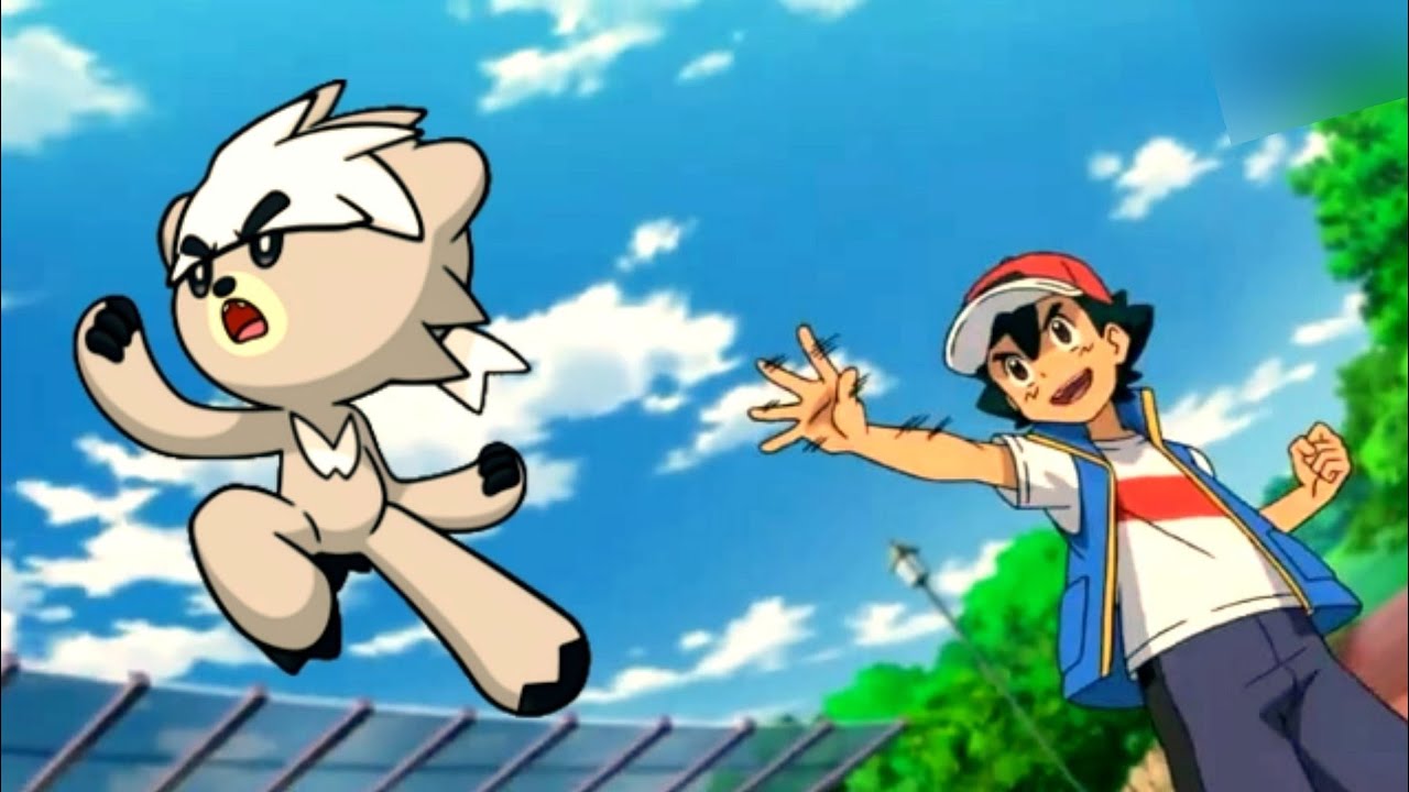 Opinion It's a shame that Ash never met or caught a Kubfu in Journeys