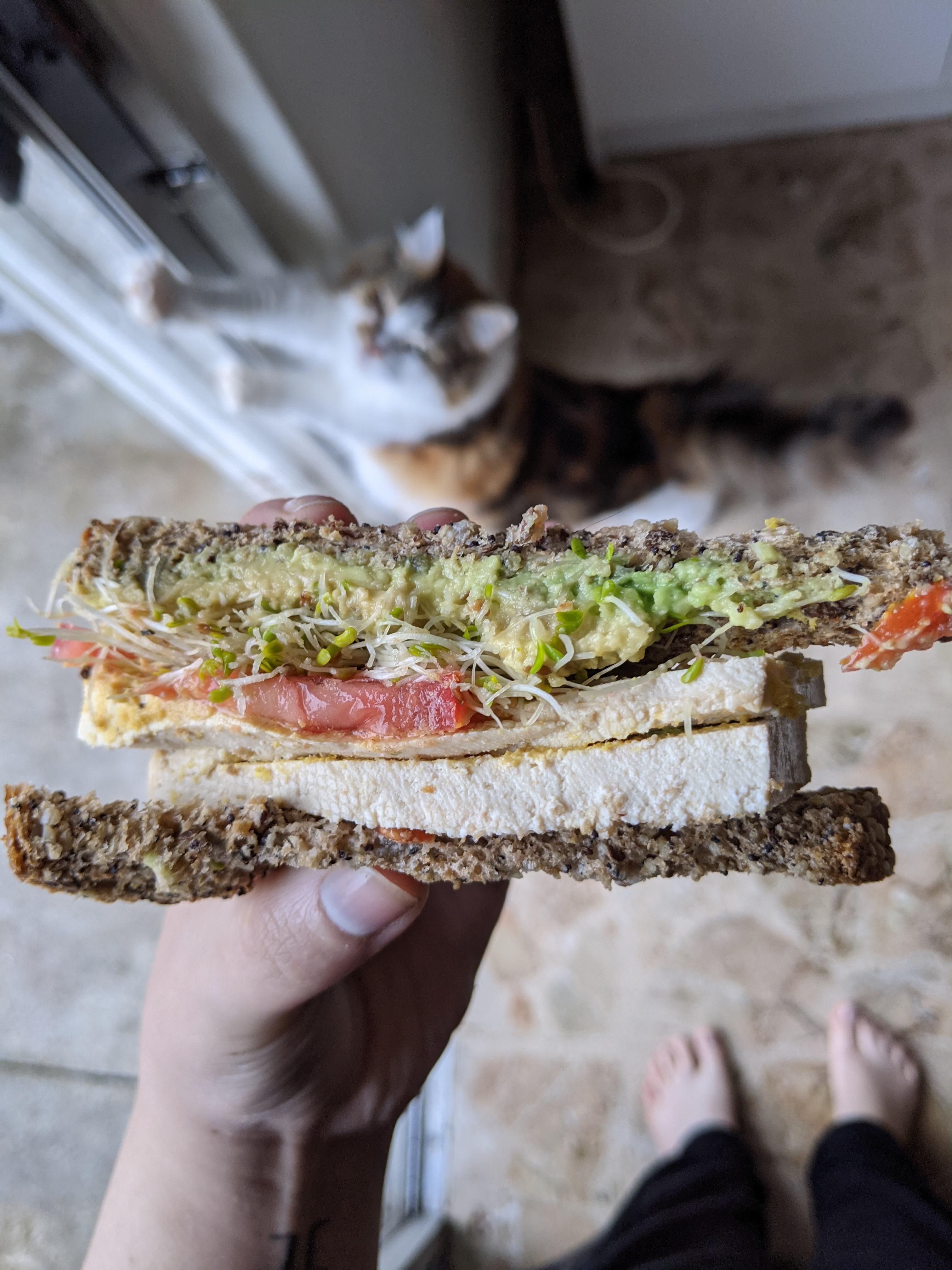 This veggie sandwich is the only thing that cured my Jimmy Johns