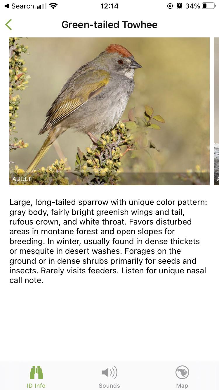 What does “disturbed areas” mean in a habitat description? r/birding