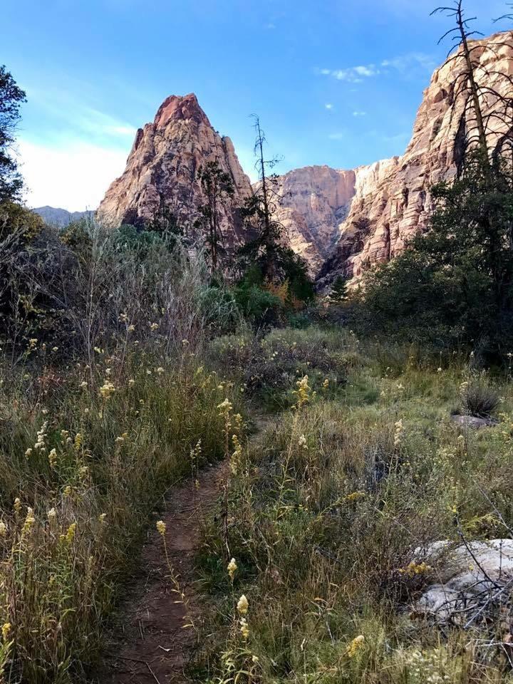 Pine Creek Canyon in Las Vegas, NV is like a nice little escape from
