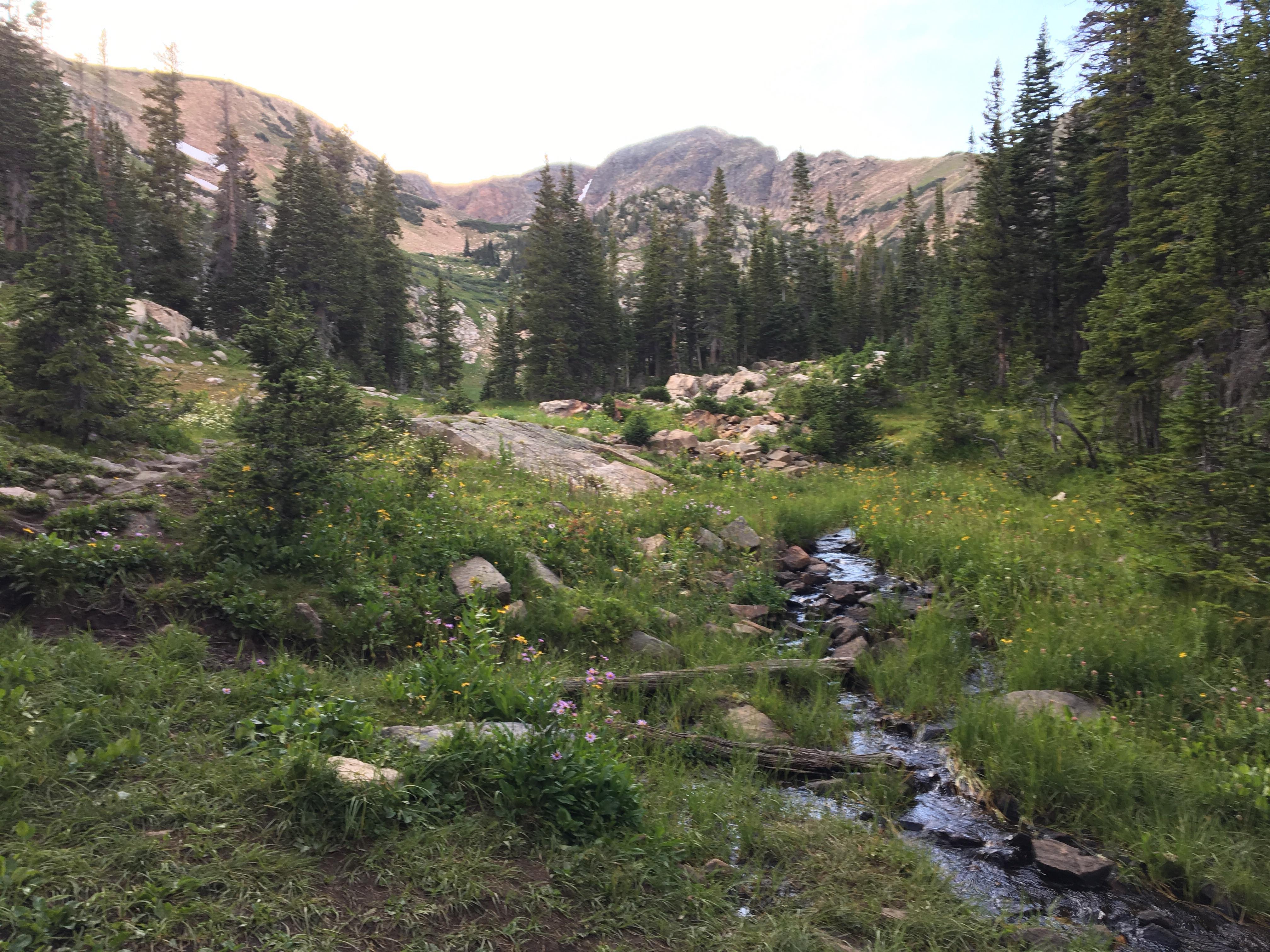 Moffat Tunnel trail, Rollinsville, CO r/hiking