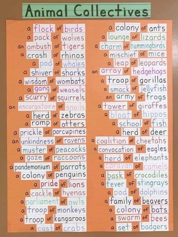 Animal group names r/coolguides