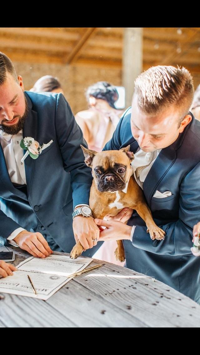 My buddy got married, his dog signed as a witness. r/pics