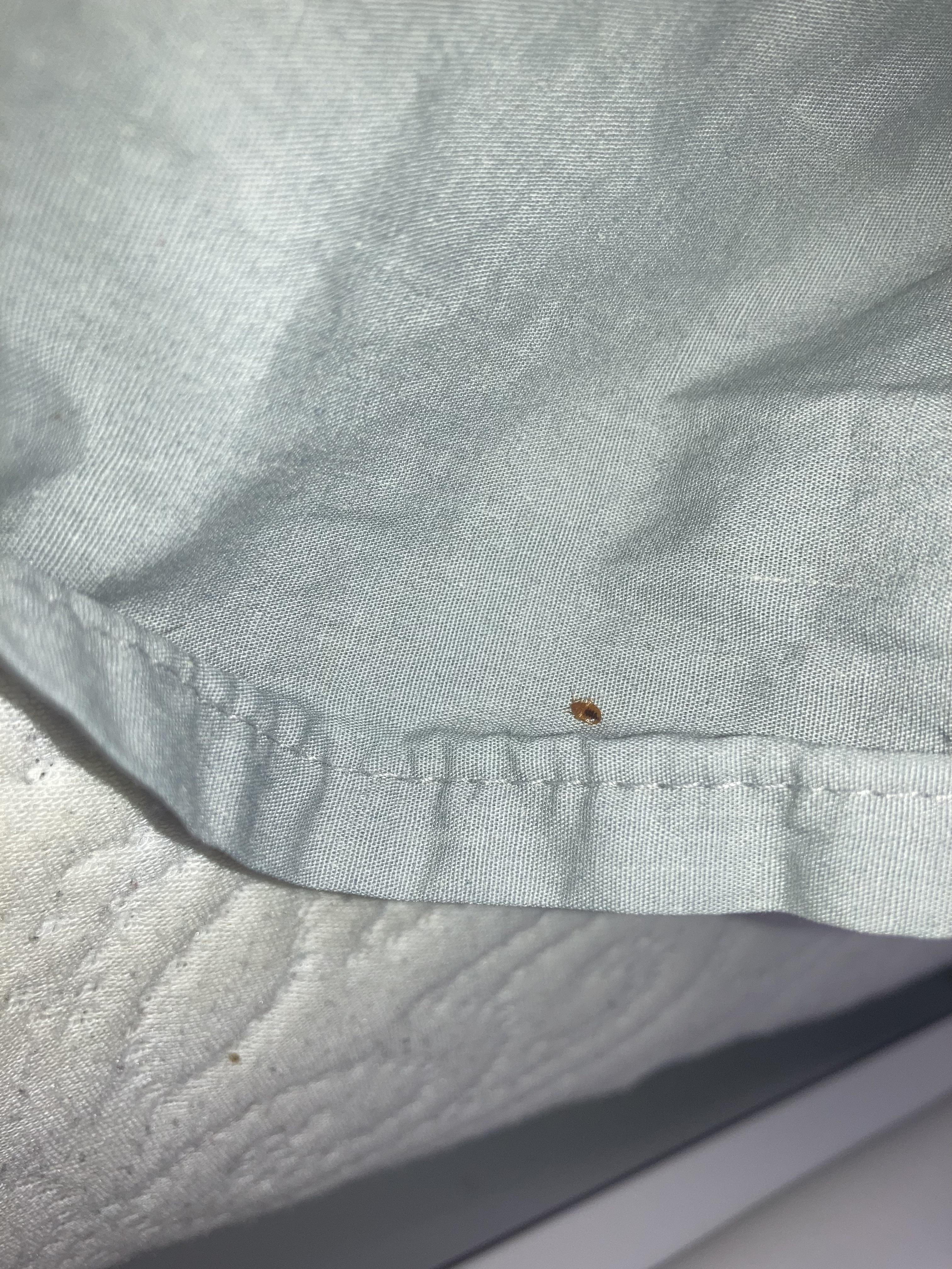 Bed bugs. Pls self check and self sanitize before moving. r/uwaterloo