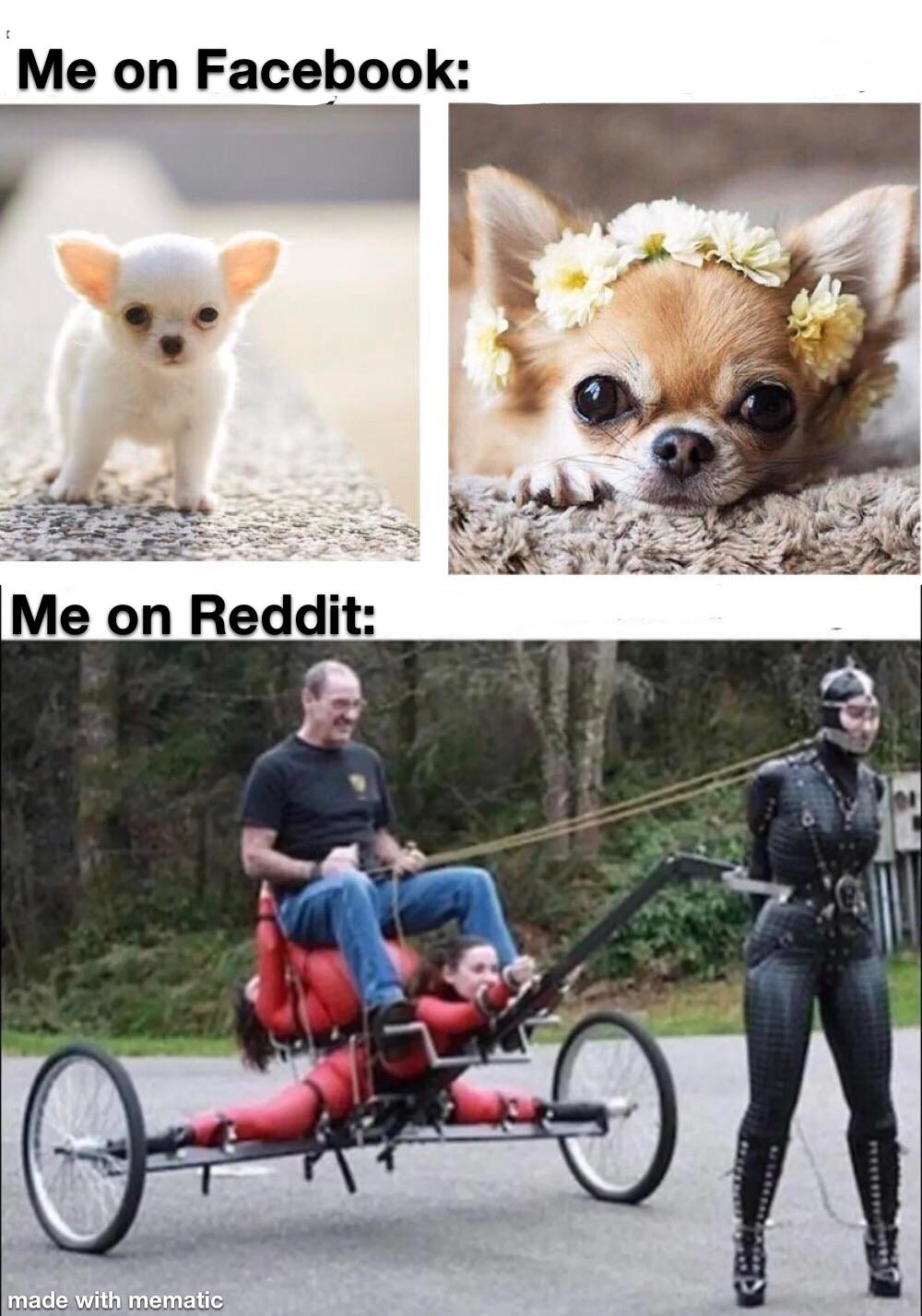 overview for CarefulSquash6472