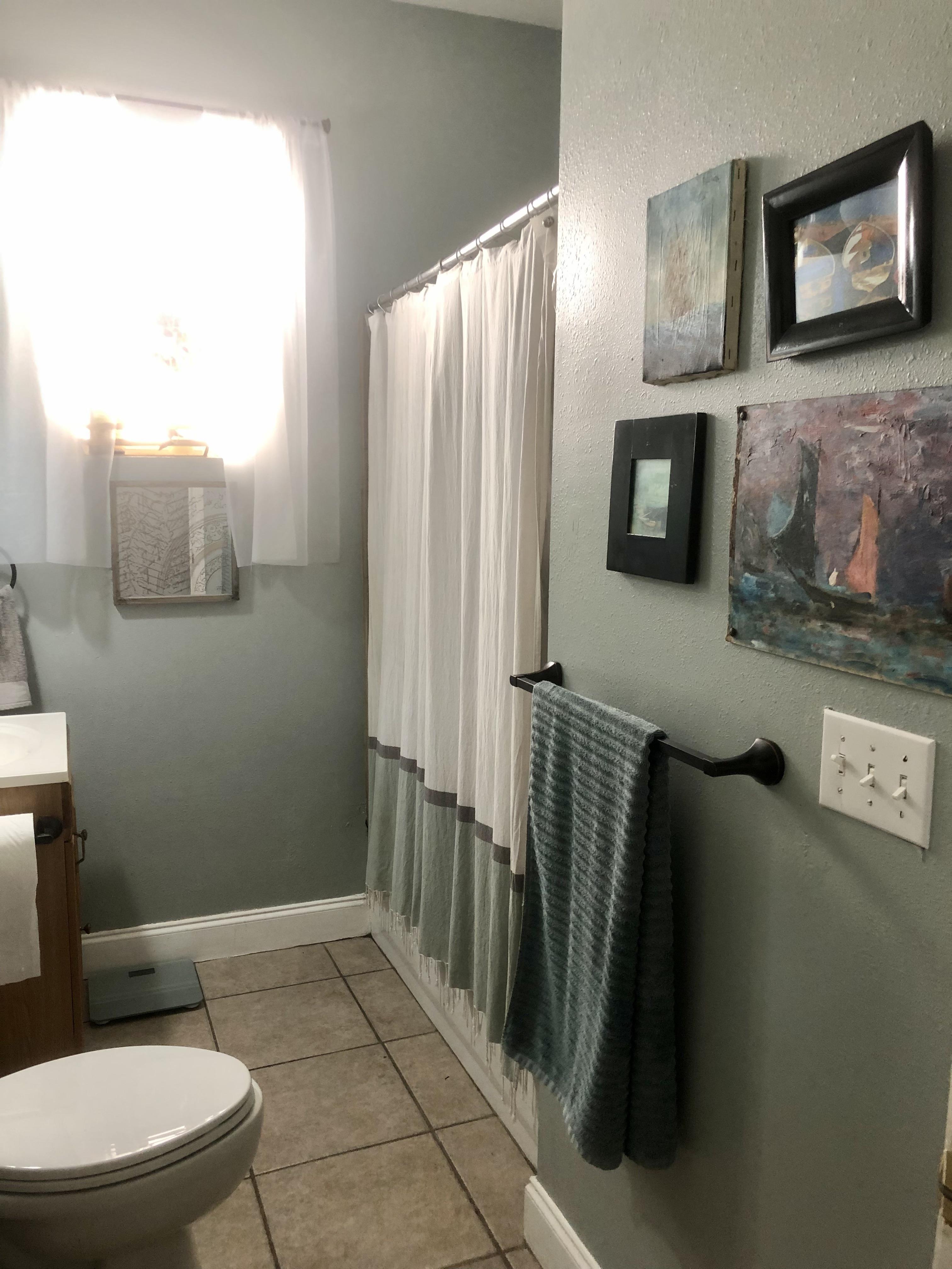 How can I cheaply update my bathroom? I definitely need a new shower