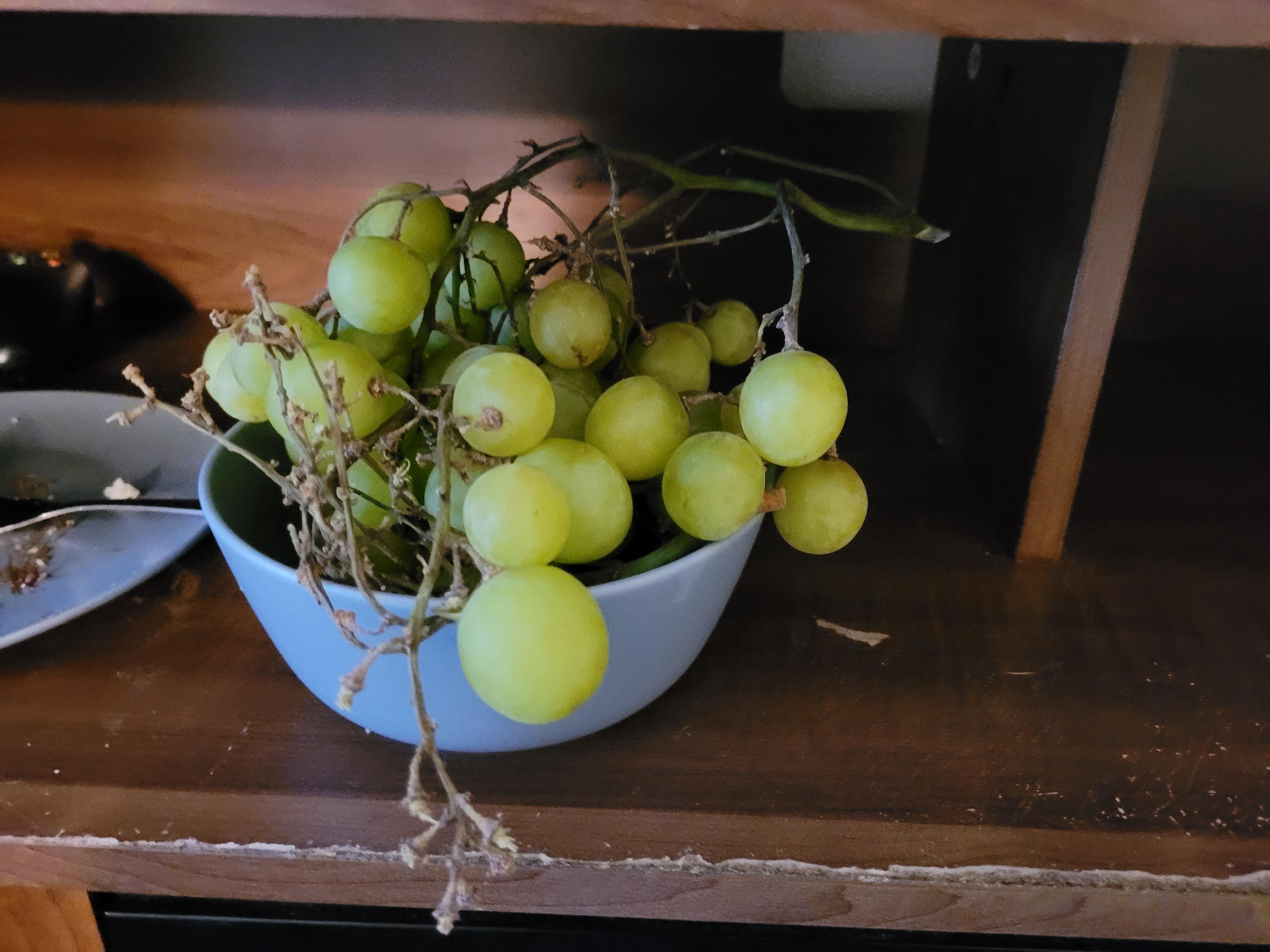 Just some causal grape eating for a hour yes my stomach hates me r/grapes