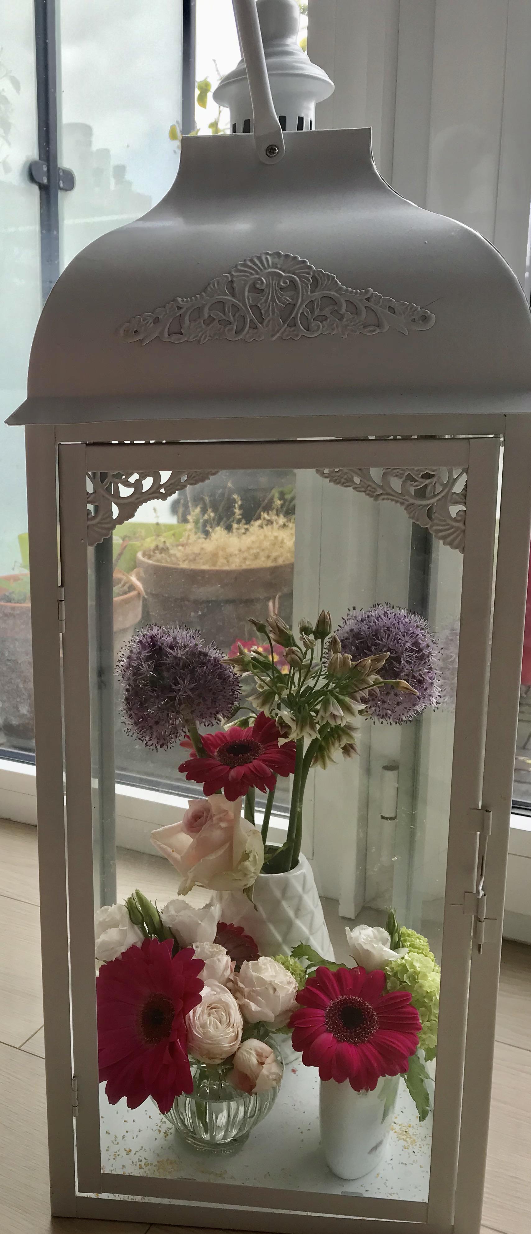 This is how I keep my flowers from being eaten by my cat ) r