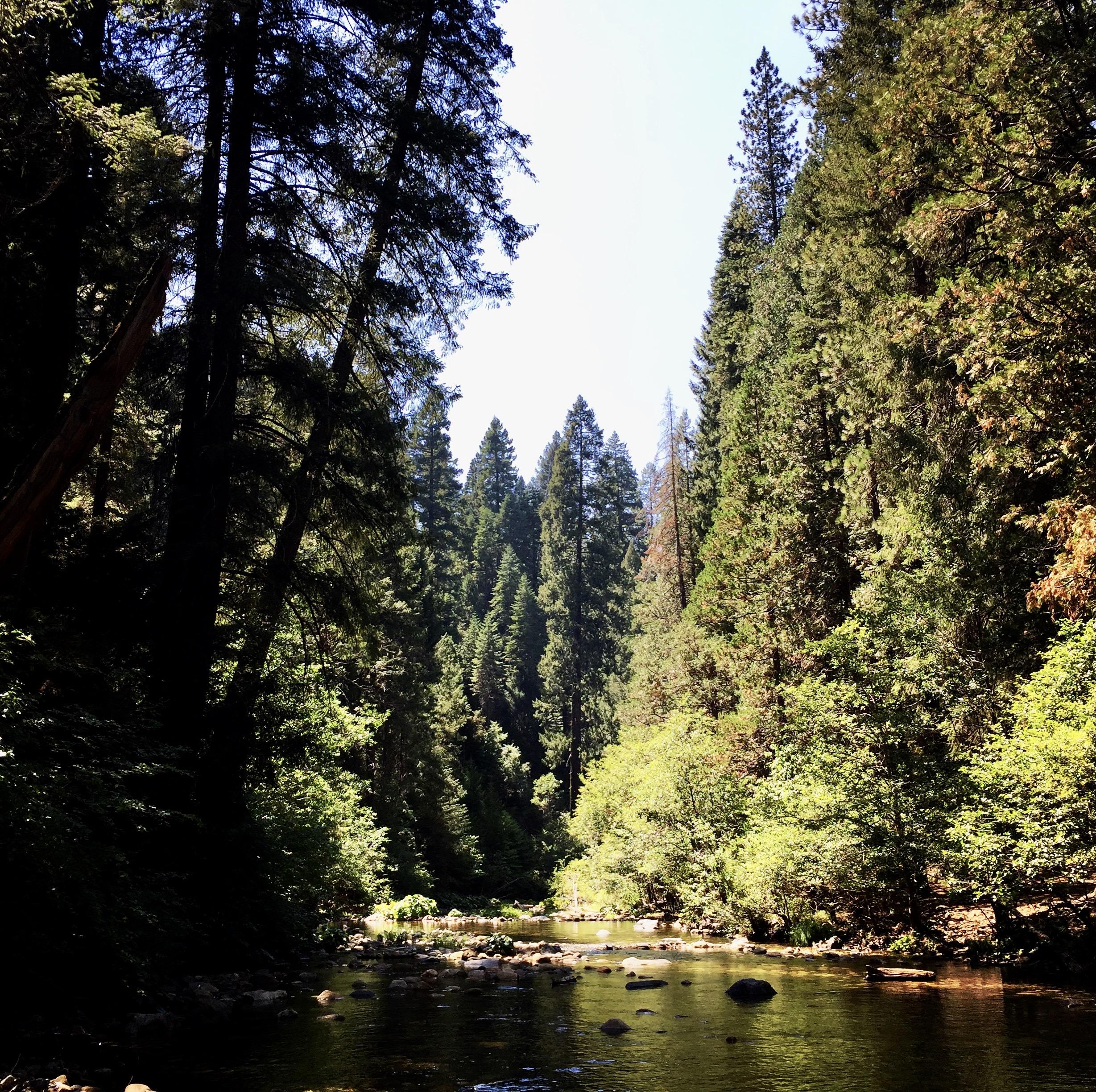 One of my favorite places, Pipi Valley, Eldorado National Forest