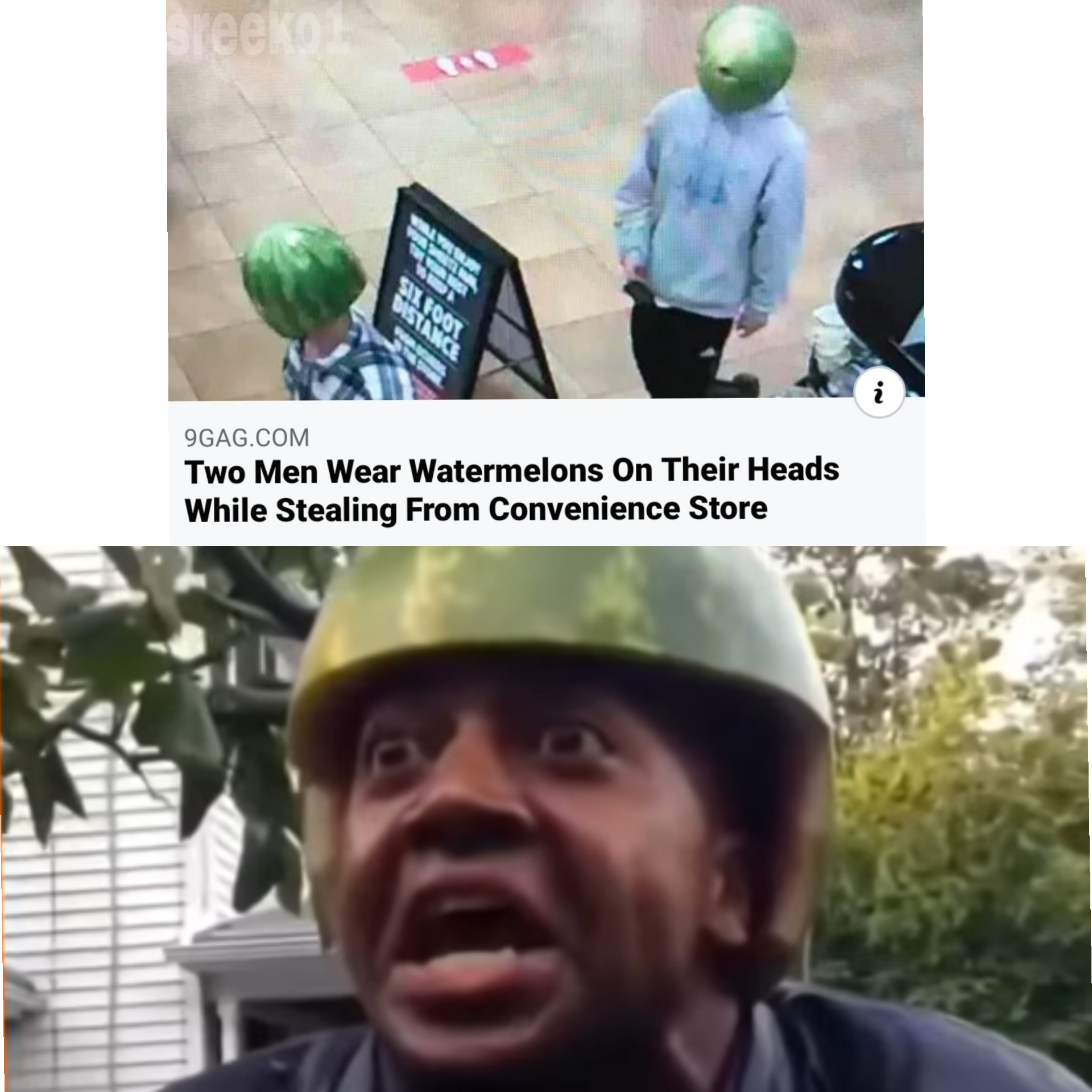 I got a watermelon instead r/memes