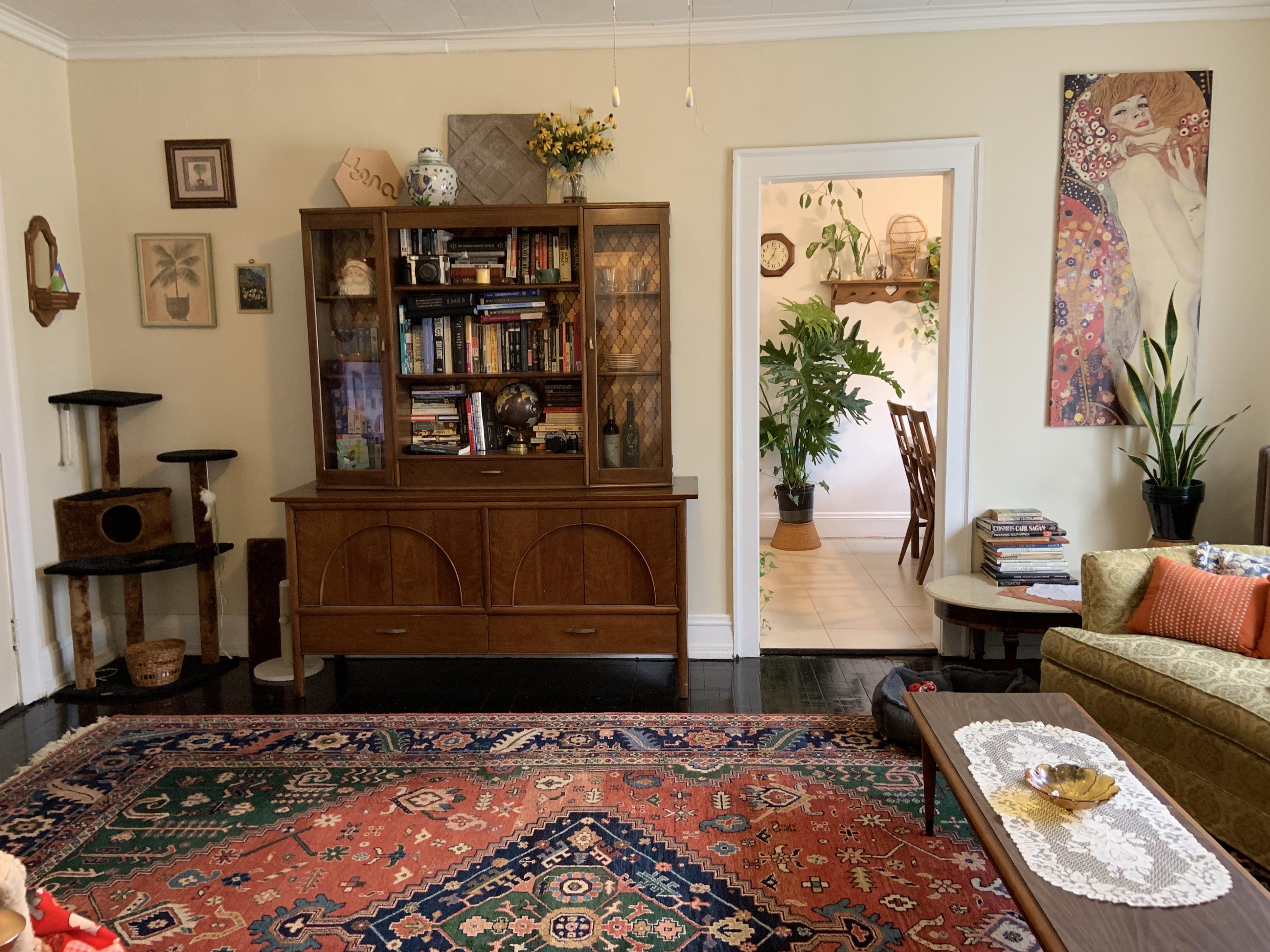 All vintage and thrifted living room in a one bedroom in Edgewater, OH