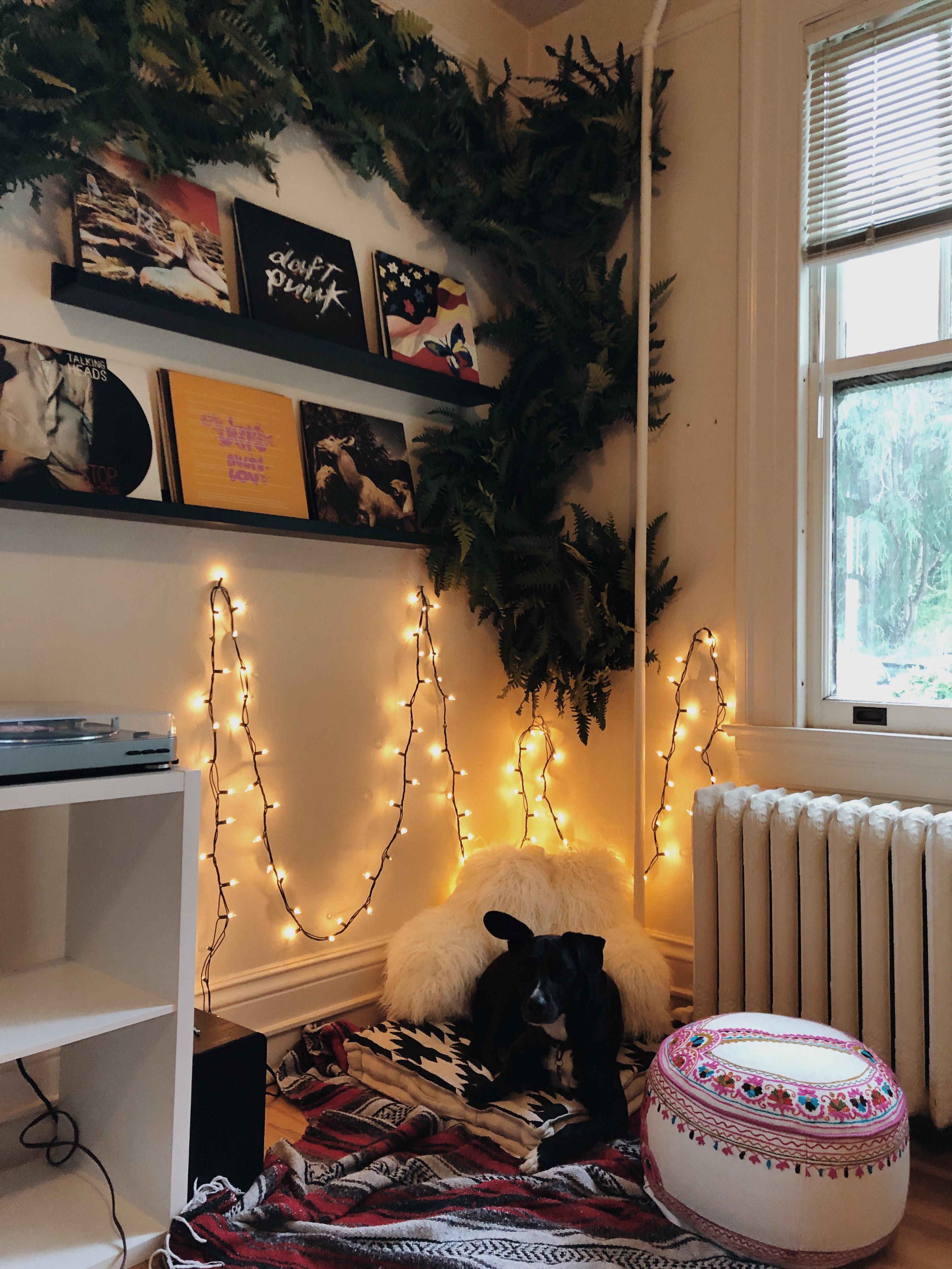 Cozy corner in my san francisco room r/CozyPlaces
