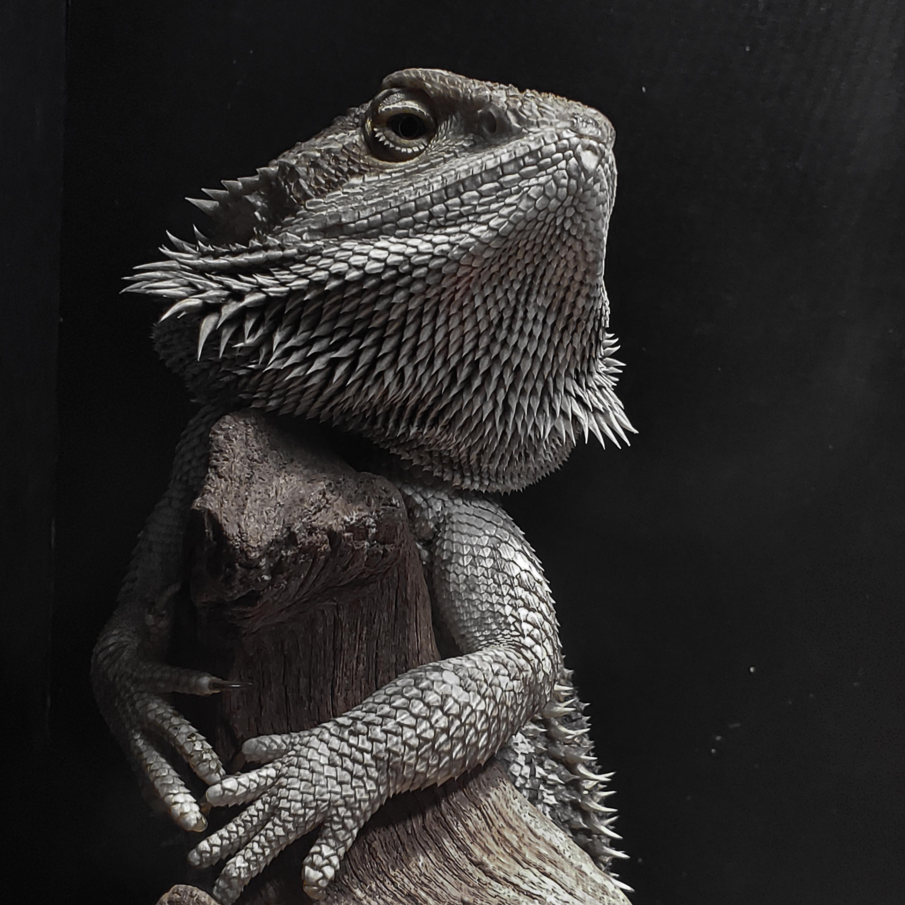 I'm I the only one who gets all paranoid and little bit sad while our