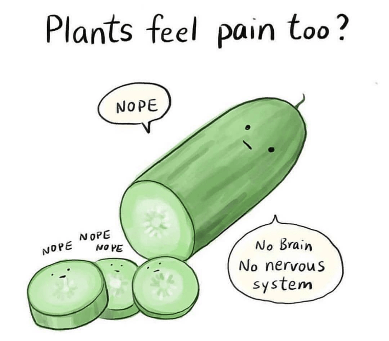 When non vegans/vegetarians try to tell you that "you're killing plants and that they have