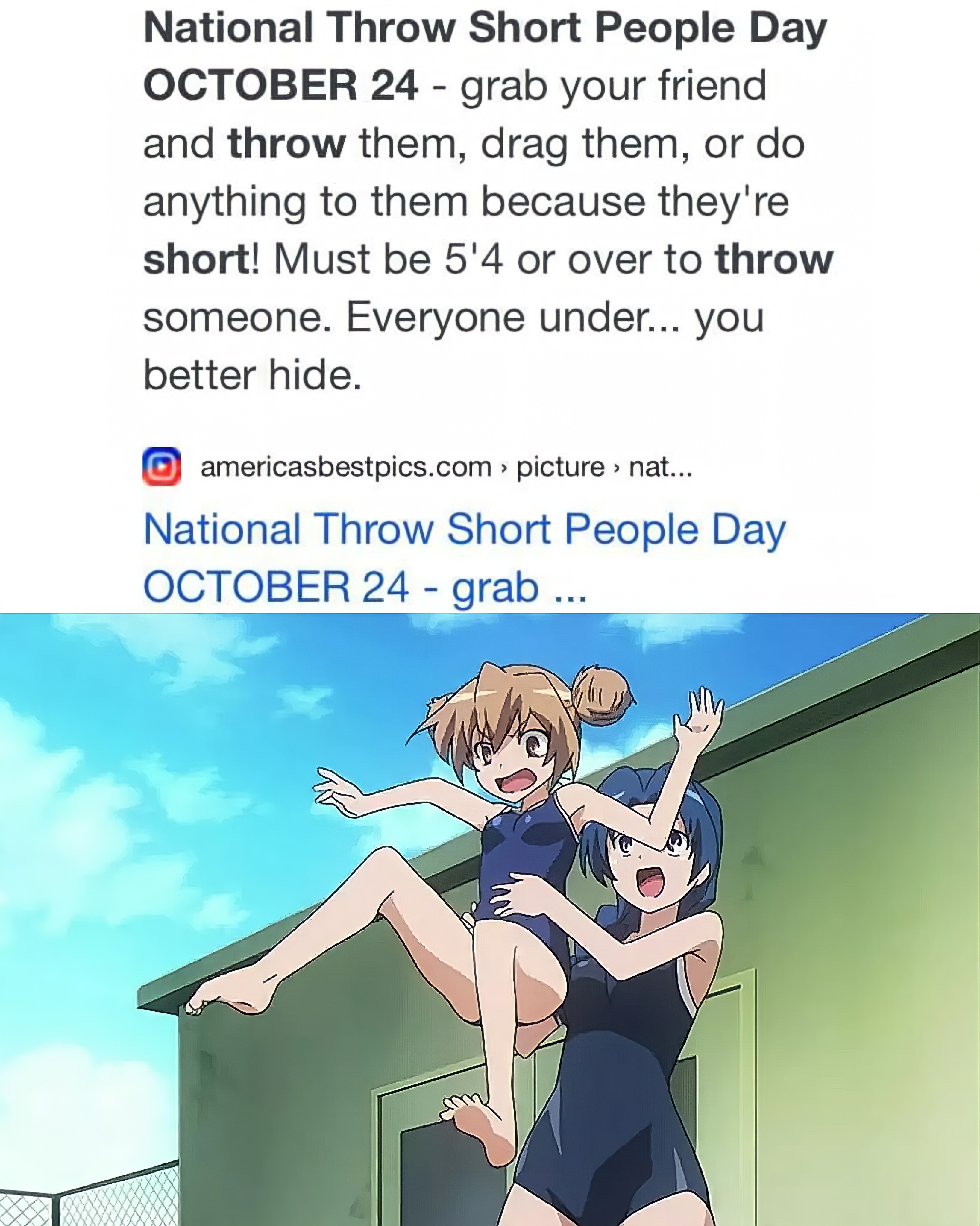 Happy National Throw Short People Day! r/goodanimemes