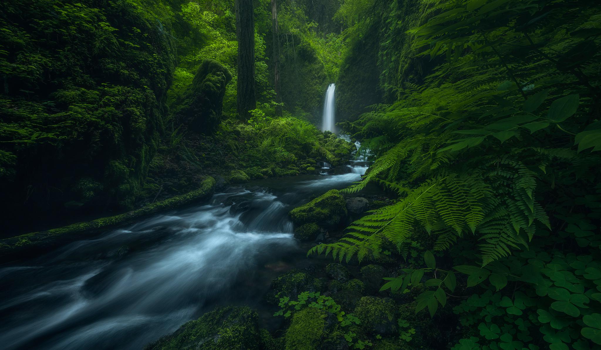 A dark and rainy day in Oregon’s Columbia River [1194×2048