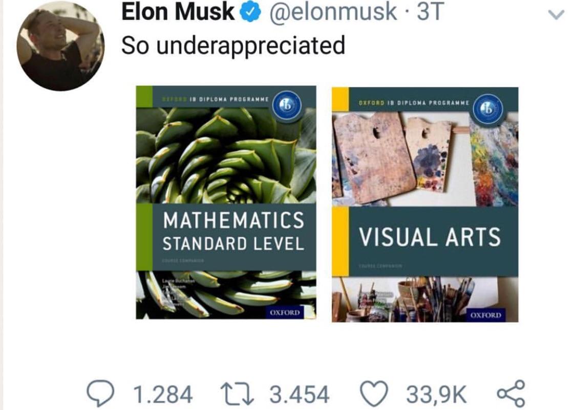 Our savior.. Elon Musk IBO