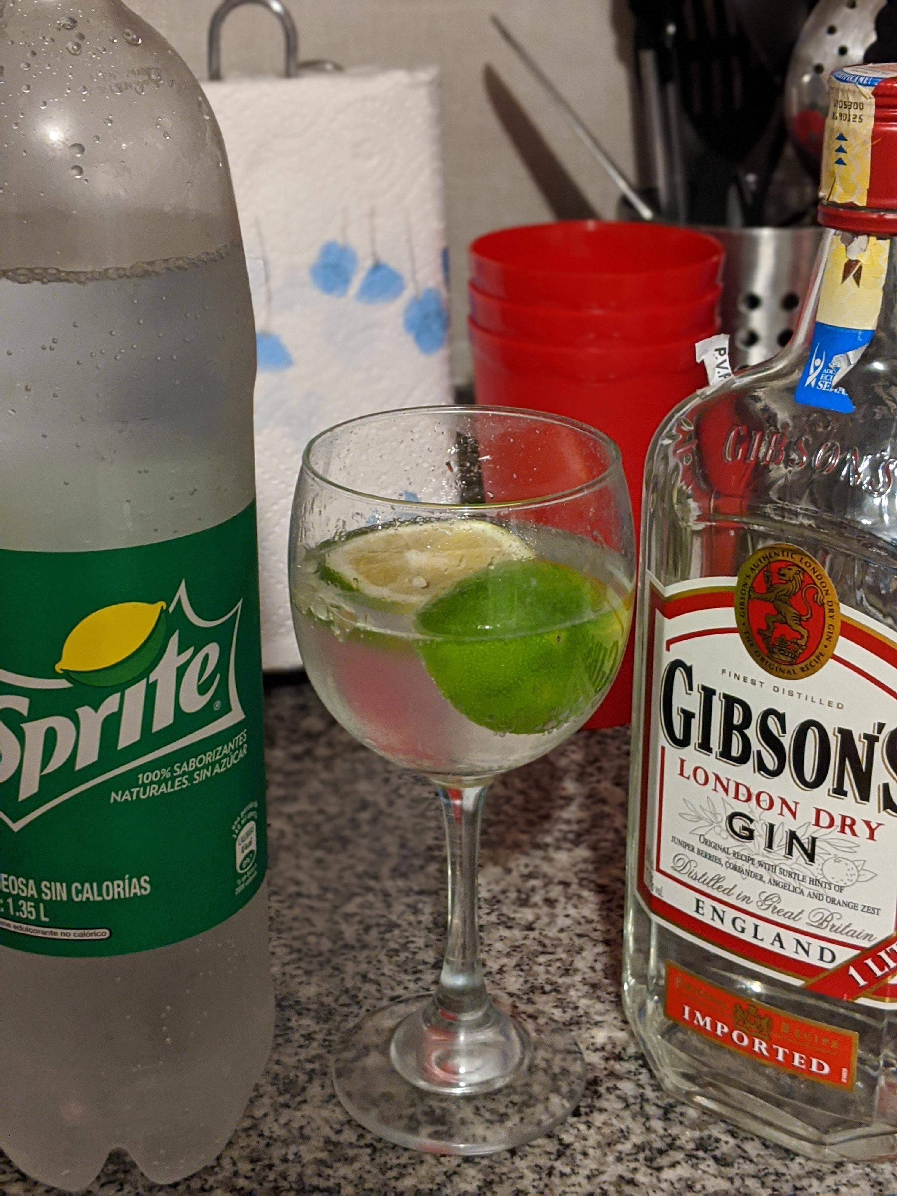 Gin + Sugar free Sprite + Lemon. r/Ketomealseatingnow