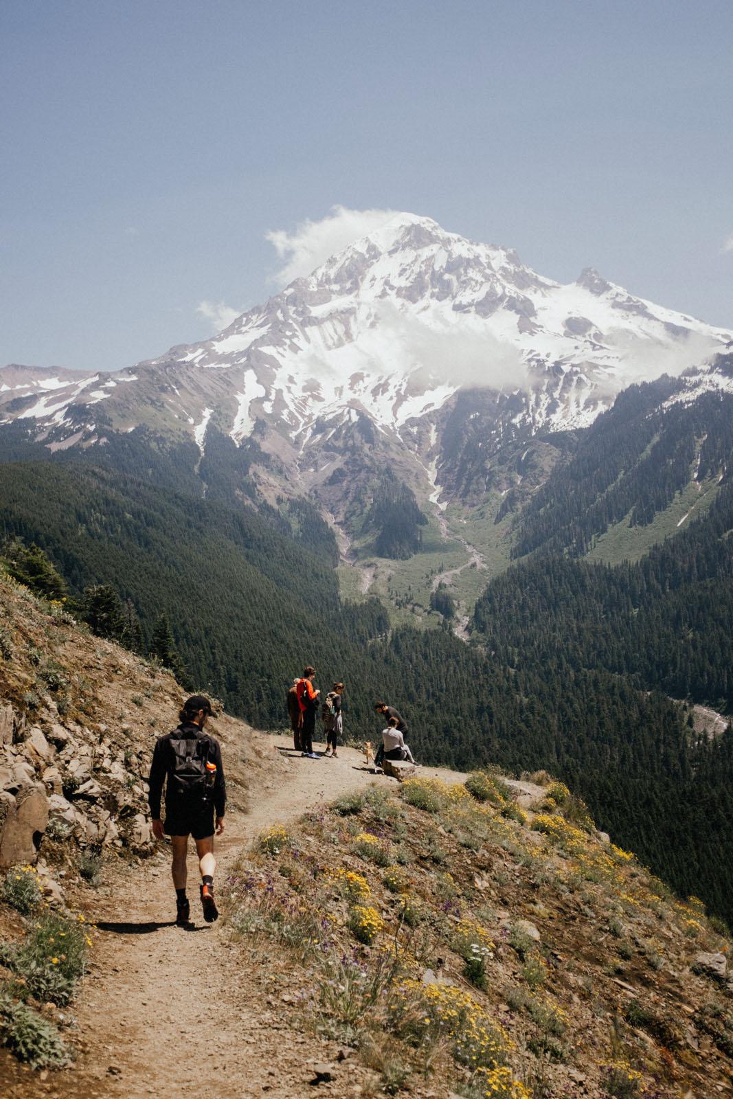 Our first view of Mt. Hood from the Timberline Trail, Mt Hood National