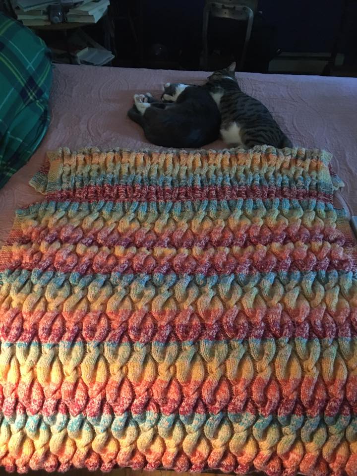 First knitted blanket! Plus cats r/knitting
