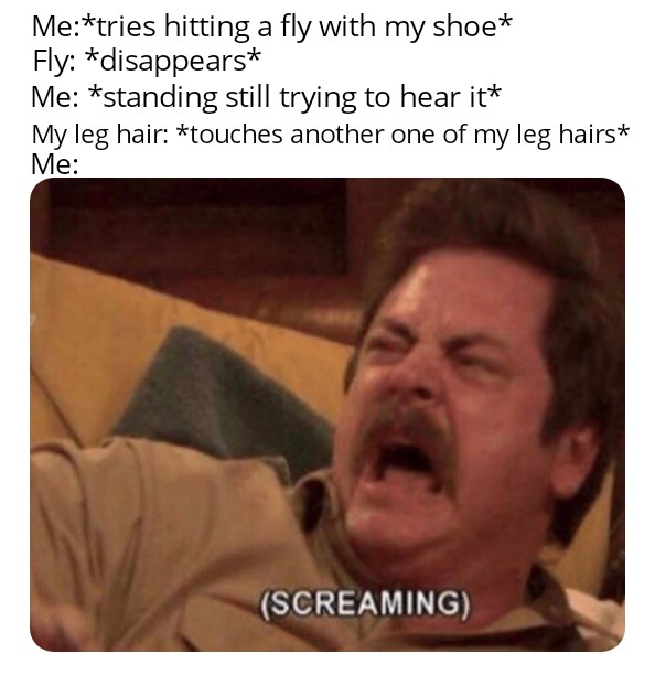 Damn hairy legs! r/memes