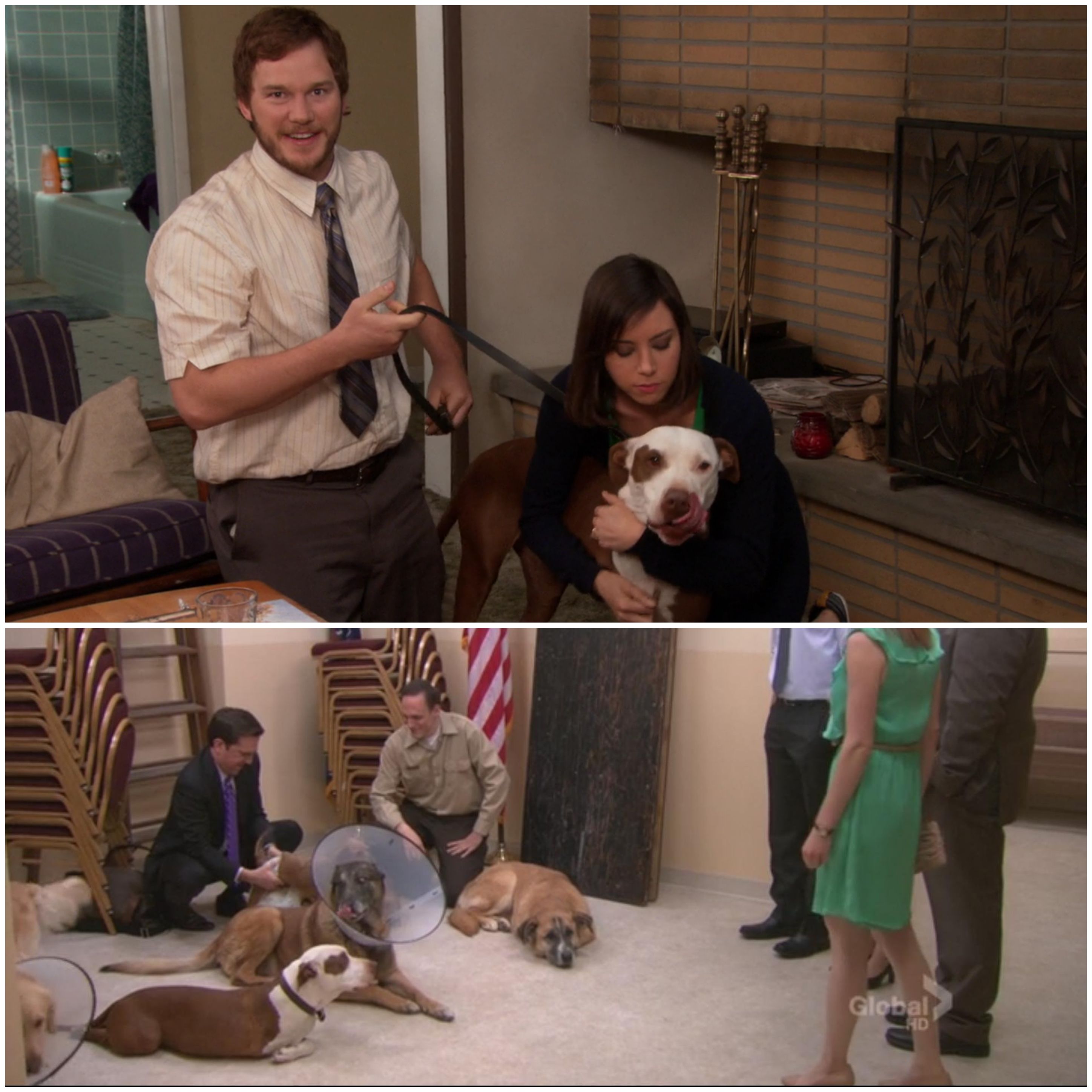 The three legged dog Andy adopts is also Champion from Parks and