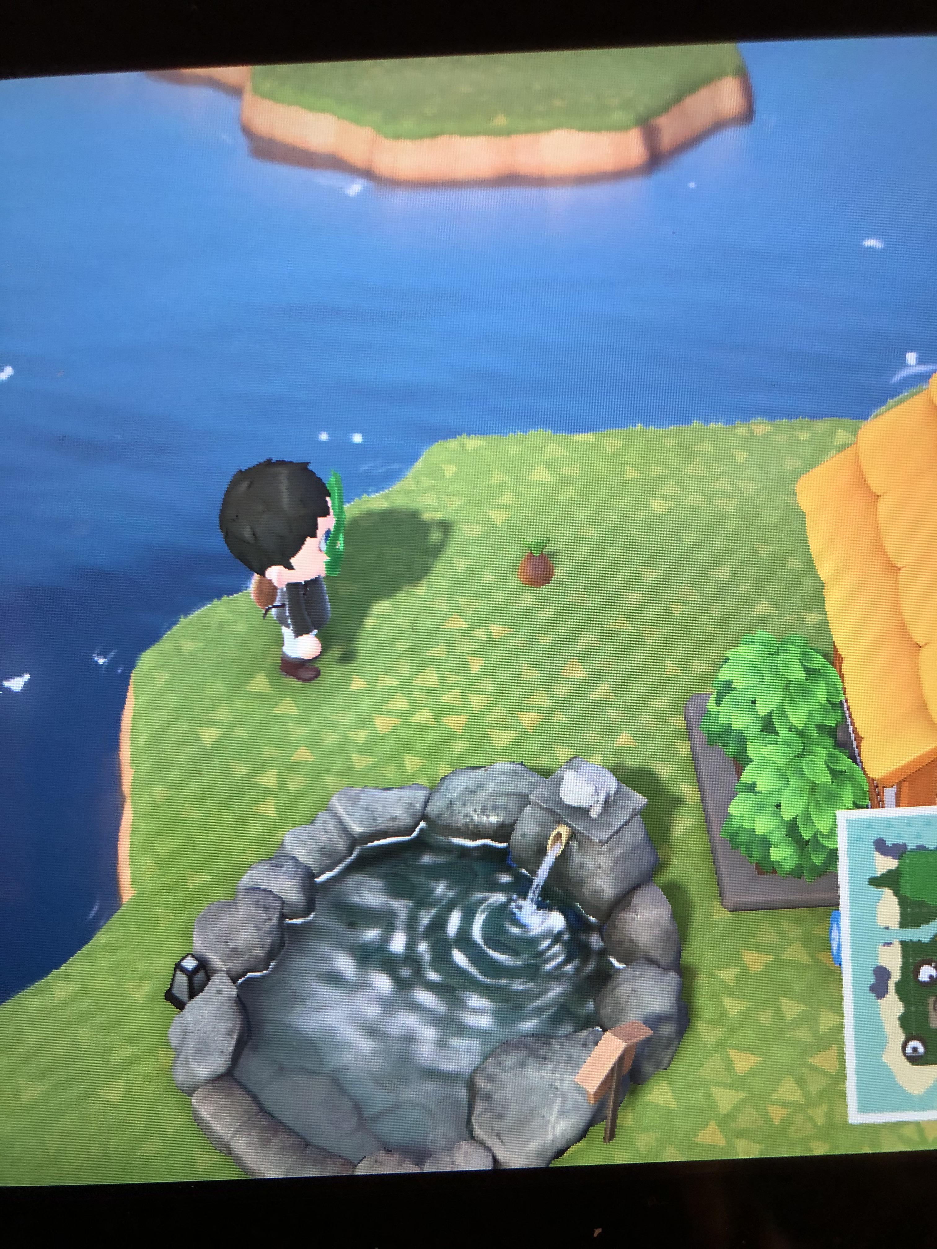 Why won’t this bamboo grow? It’s been about 3 days. r/AnimalCrossing