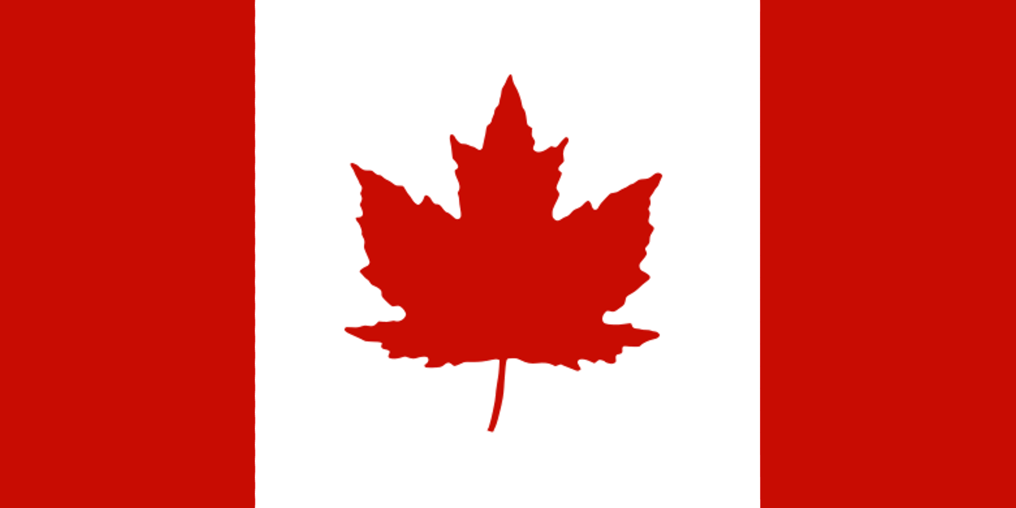Canadian flag with realistic maple leaf r/vexillology