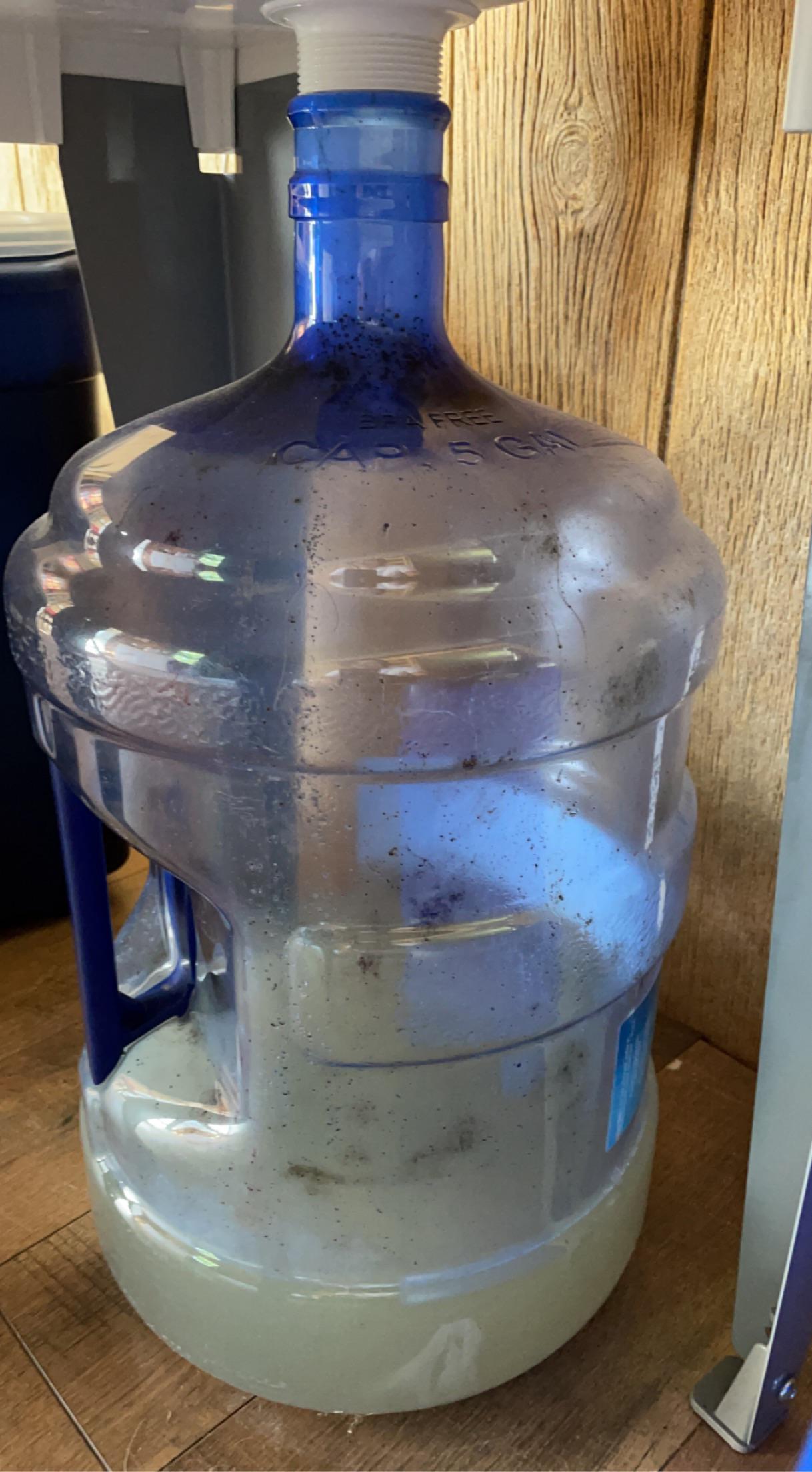 I just have clean water go into a dirty water jug and its growing mold