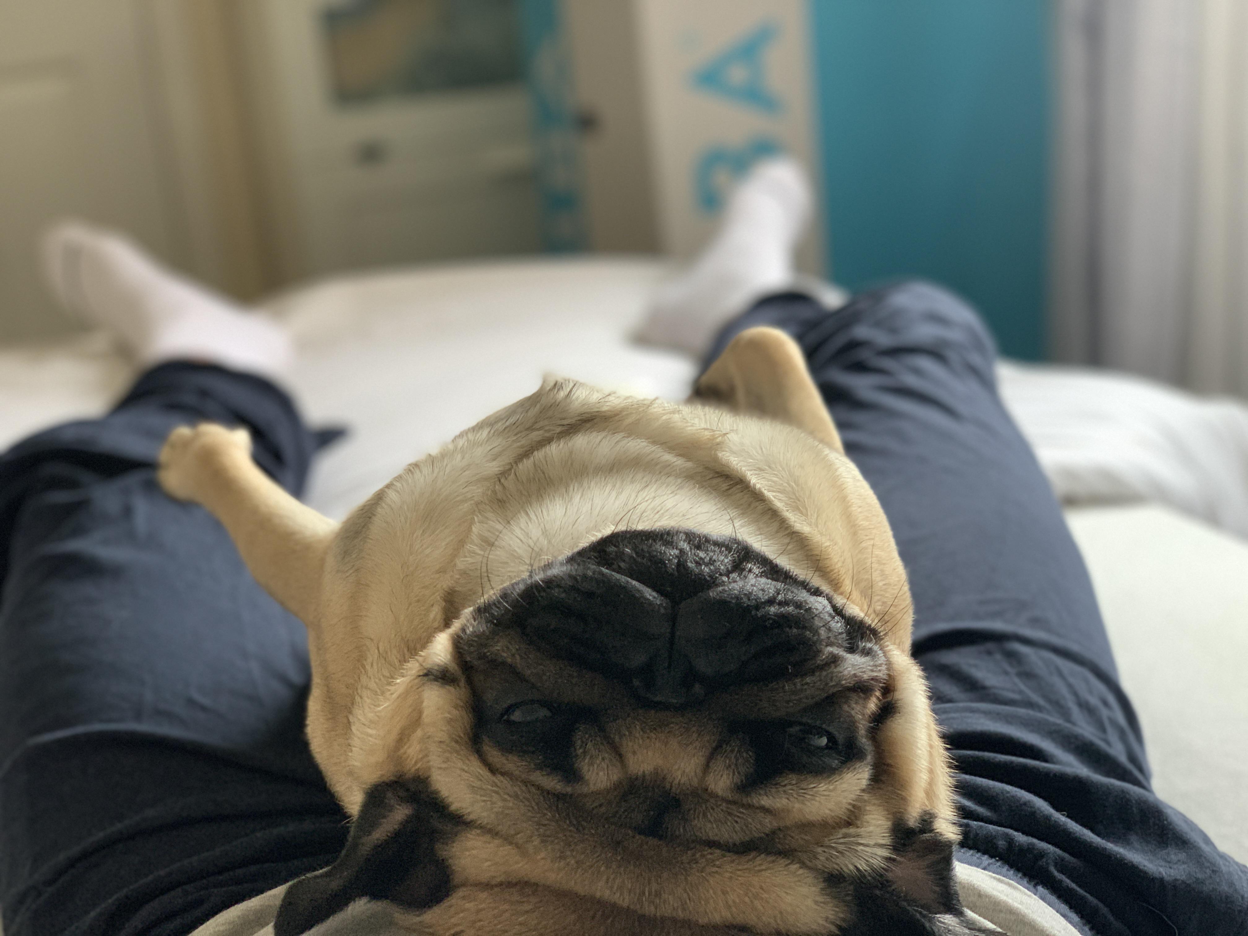 I’m looking for some advice could anyone (uk based) wipes