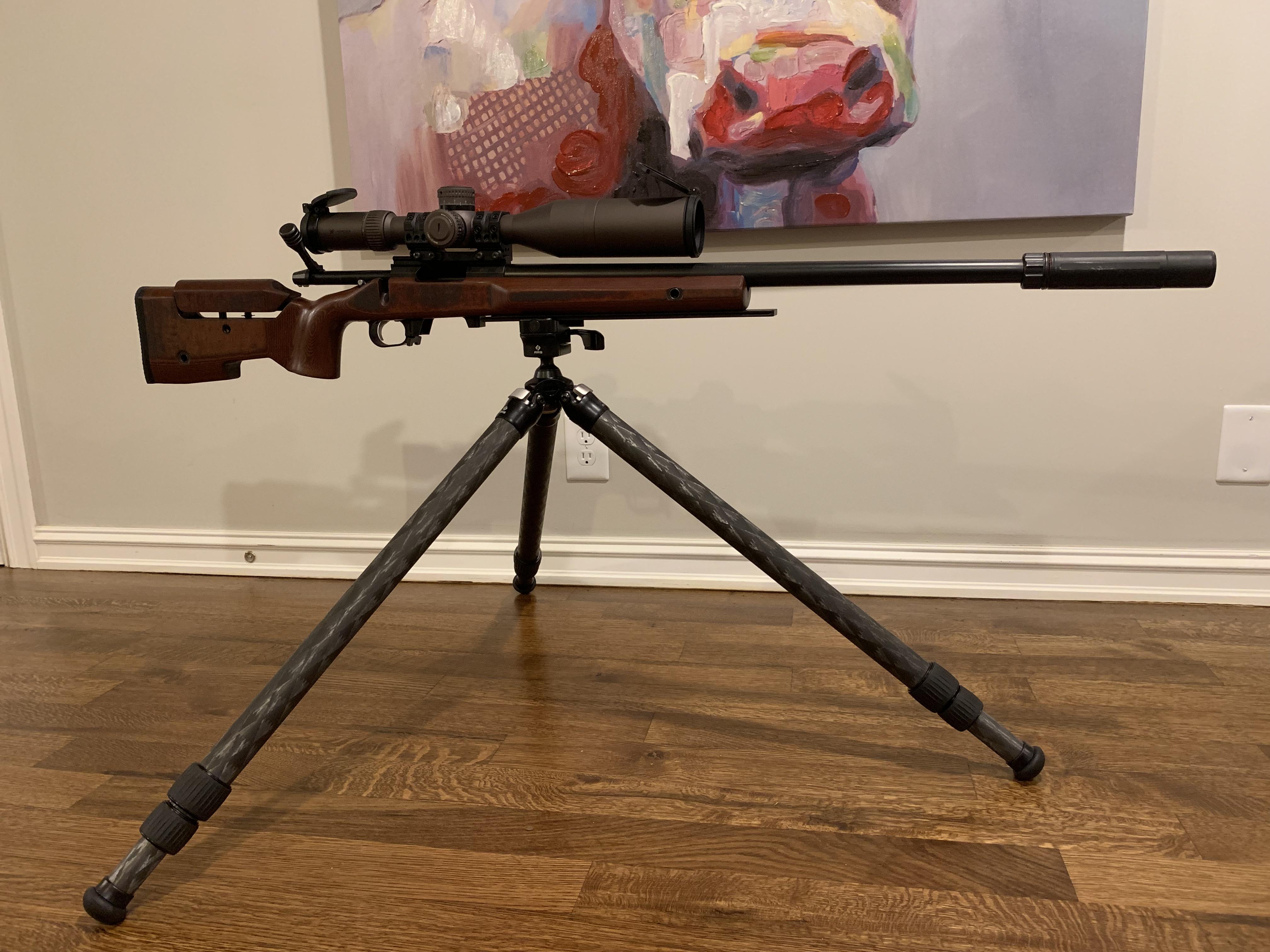 Getting acclimated with my new RRS TFCT33 tripod and Anvil30 ballhead