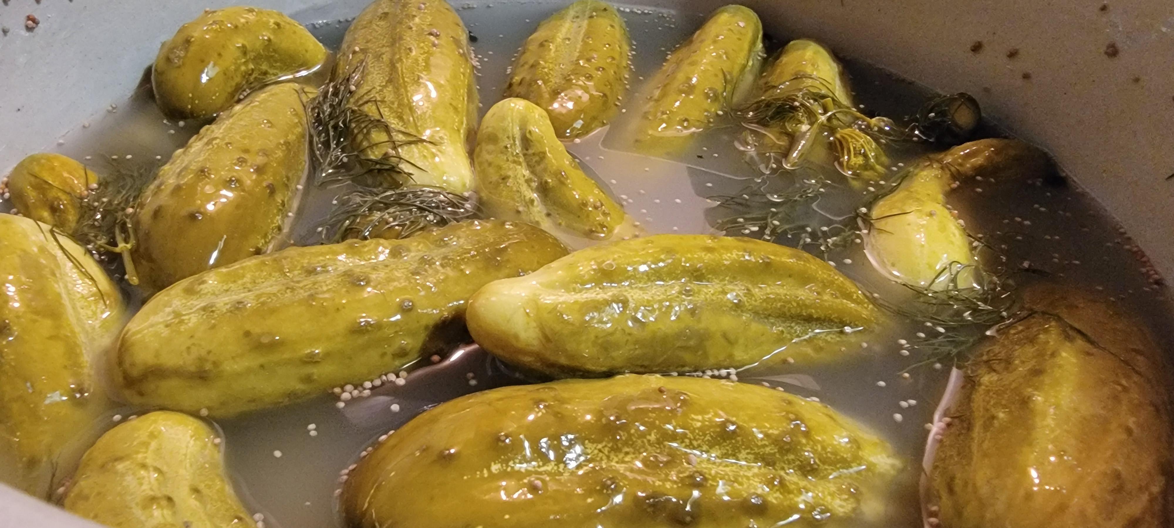 How Much Does 5 Gallons Of Pickles Weigh at Florine Piper blog