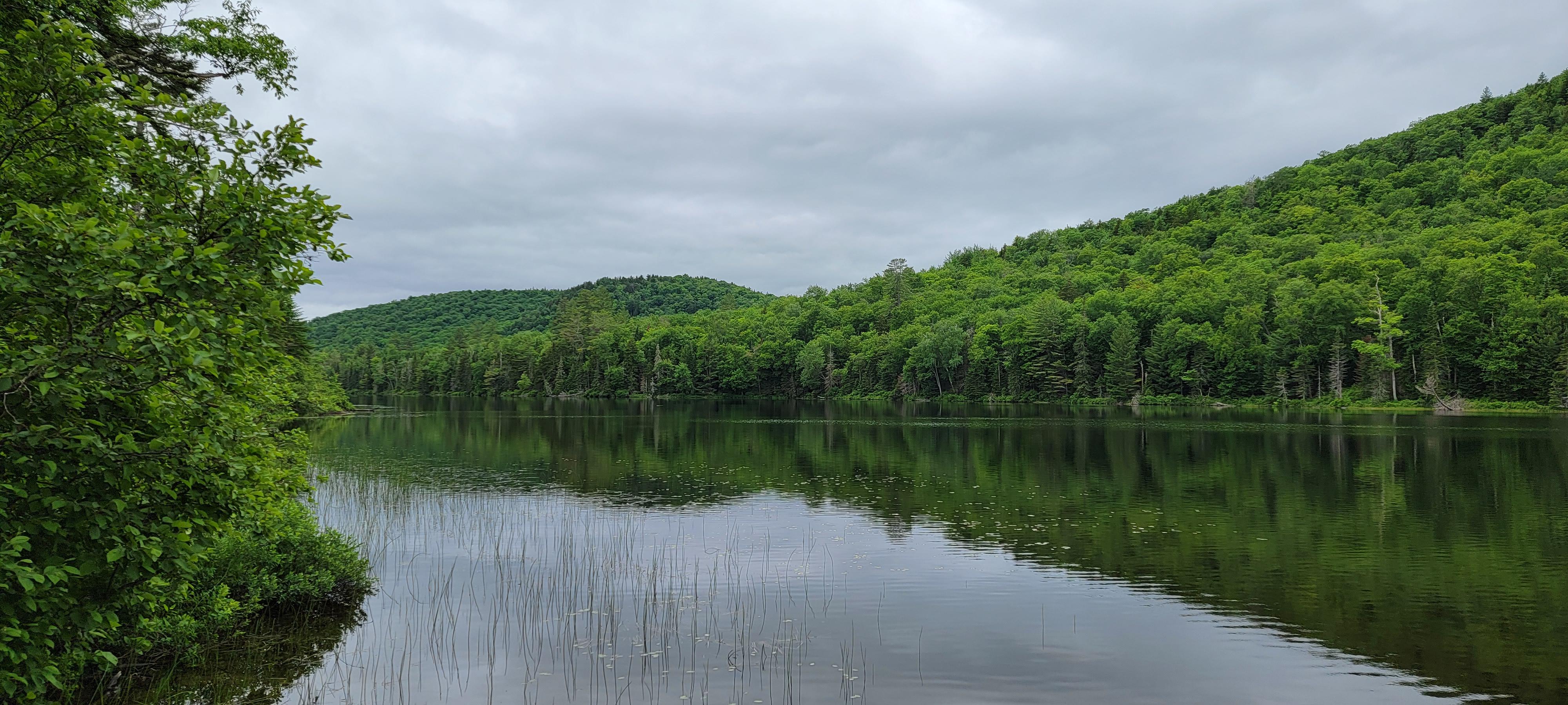 Balfour Lake, Minerva, NY 6/22/21 r/Adirondacks