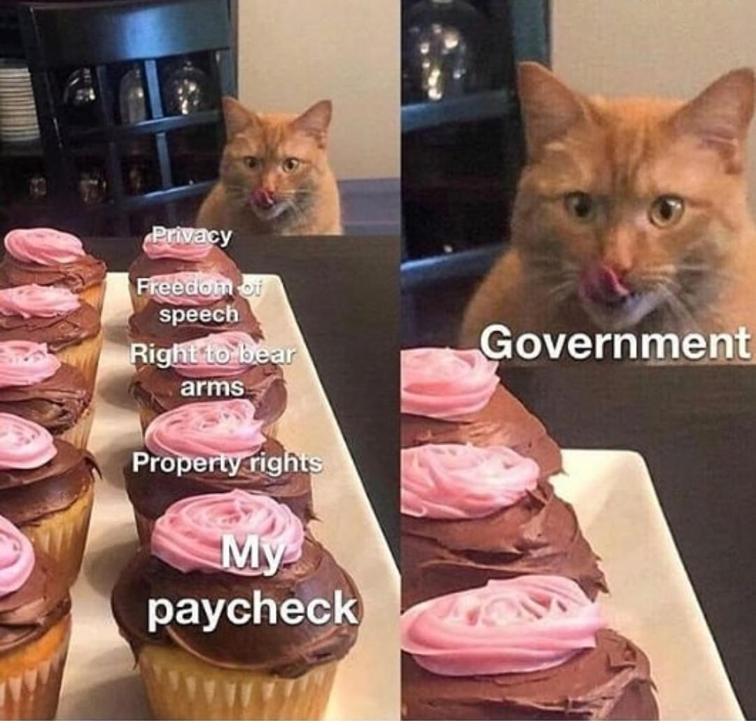 Cat licking lips at cupcakes r/MemeTemplatesOfficial