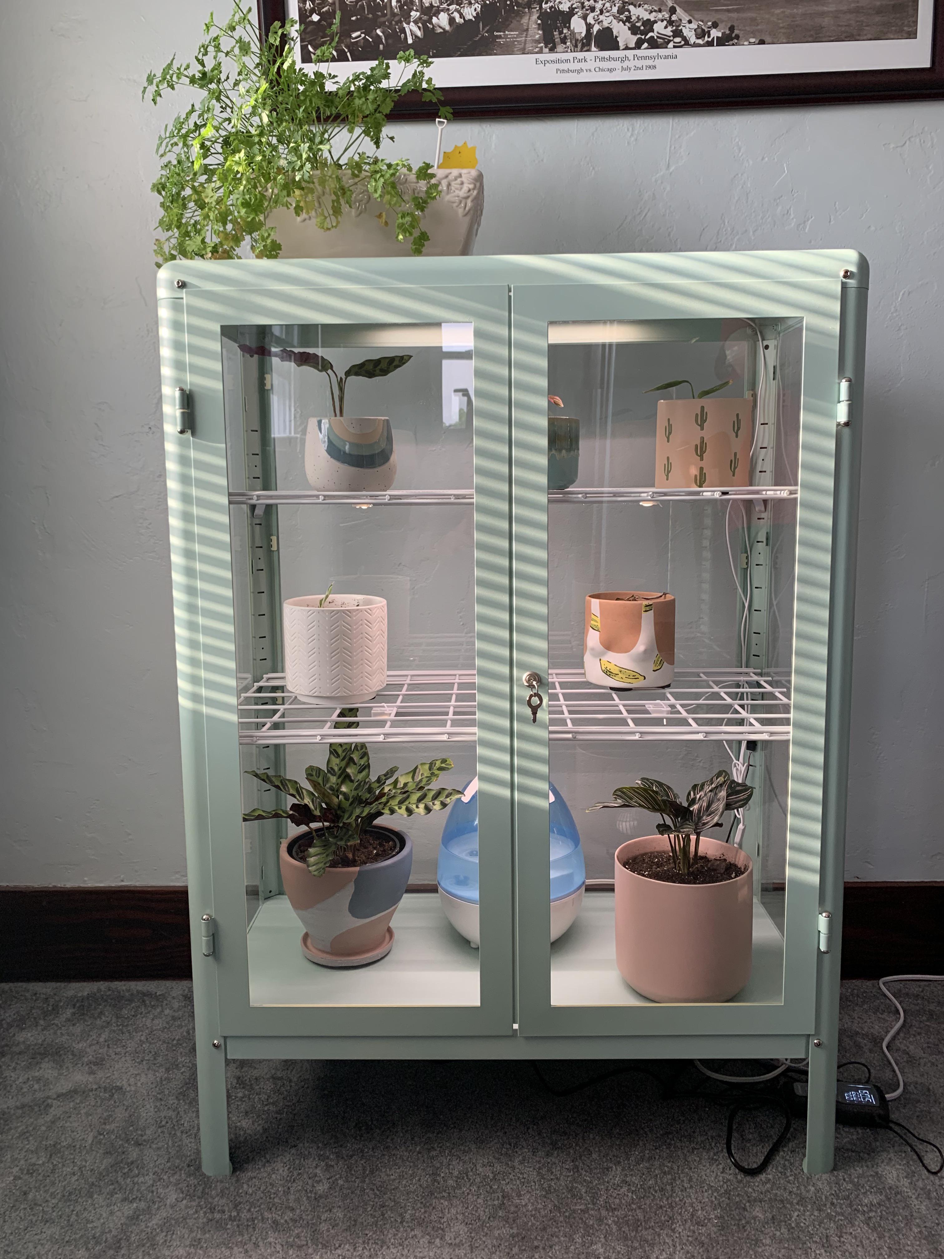 Show me how you light and fan your greenhouse I got a