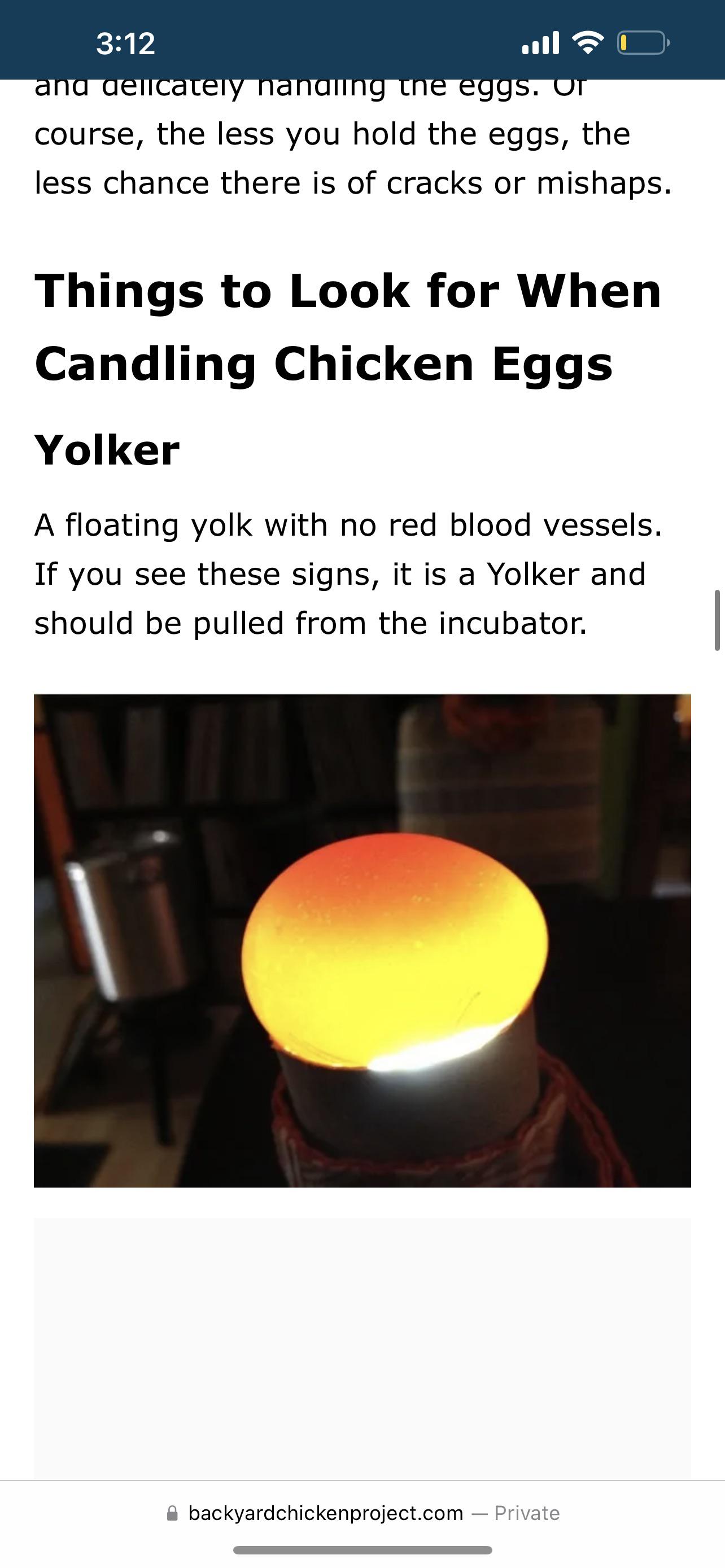 Im on day 6 of incubating a chicken egg and it look like this, is it