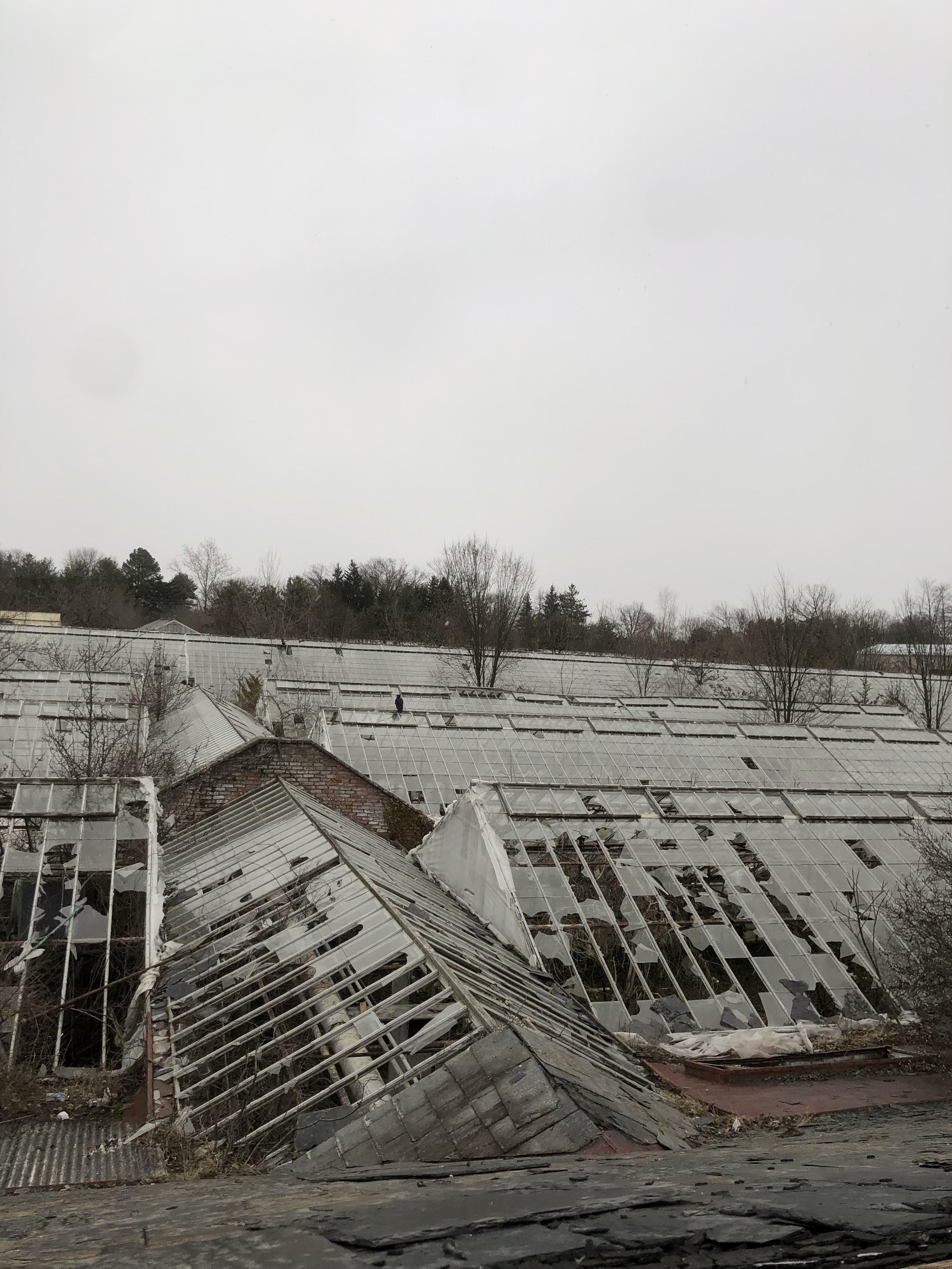Abandoned greenhouses in PA r/AbandonedPorn