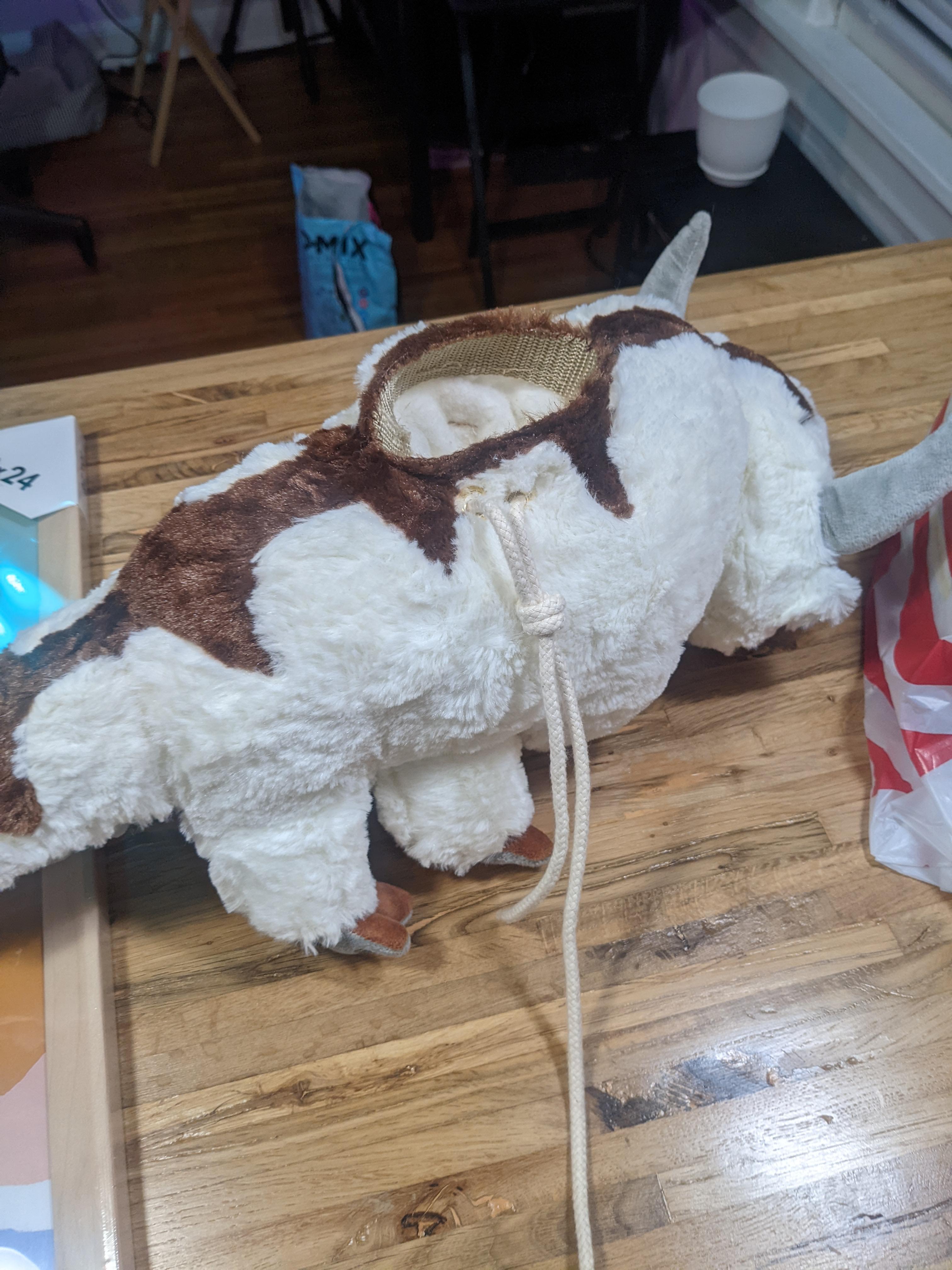 A made an appa chalk bag r/climbing