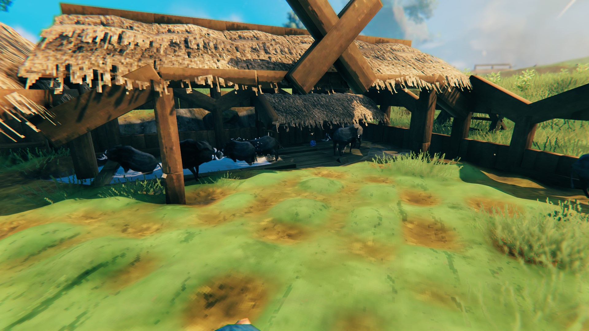 Sharing my boar pen, I made both a feeding trough and water hole for