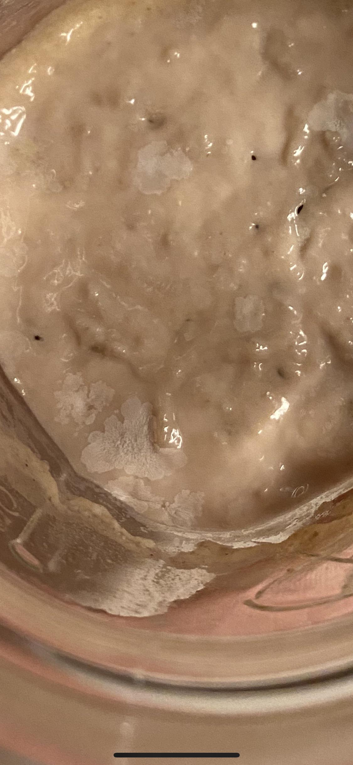Sweet smelling starter— moldy? r/Sourdough