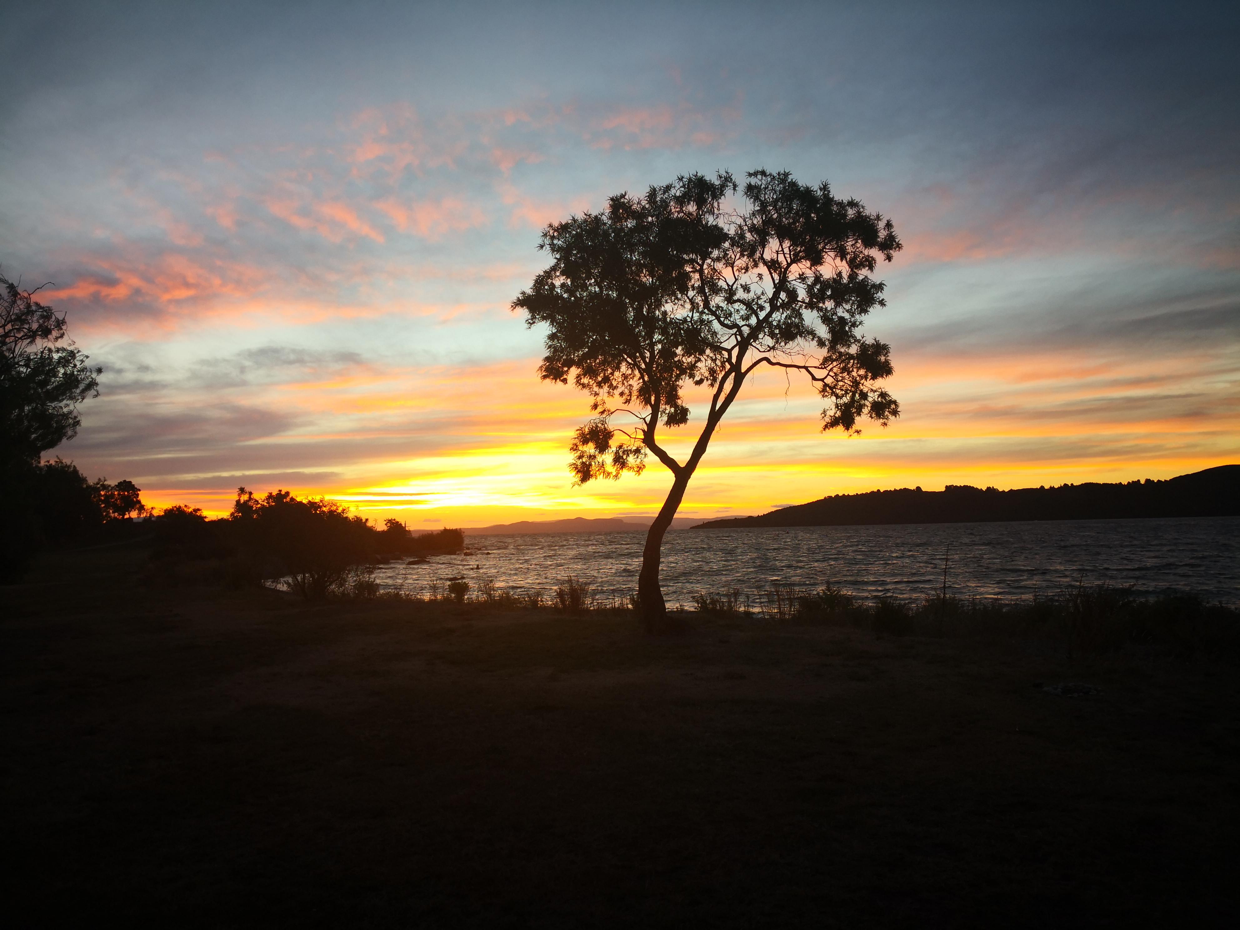 Wharewaka point, Taupo tonight r/newzealand