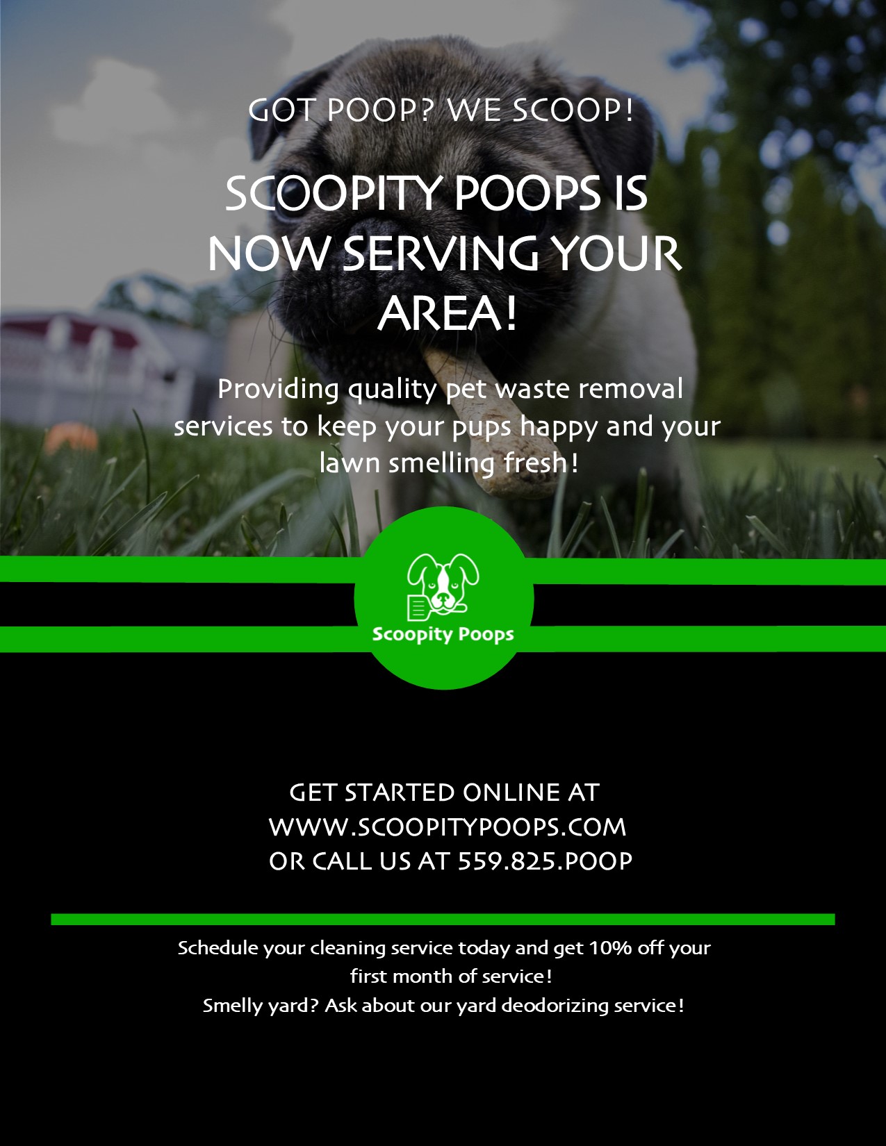 Got poop? We scoop! Pooper scooper business now operating in Visalia