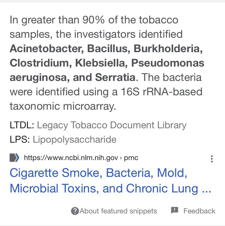 if these strains of bacteria were the only potential risk in smoking